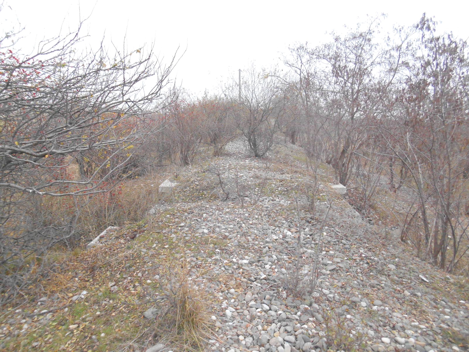 Железнодорожная линия Беслан — Грозный — Гудермес — фотографии, сделанные в 2019 году (часть 6)