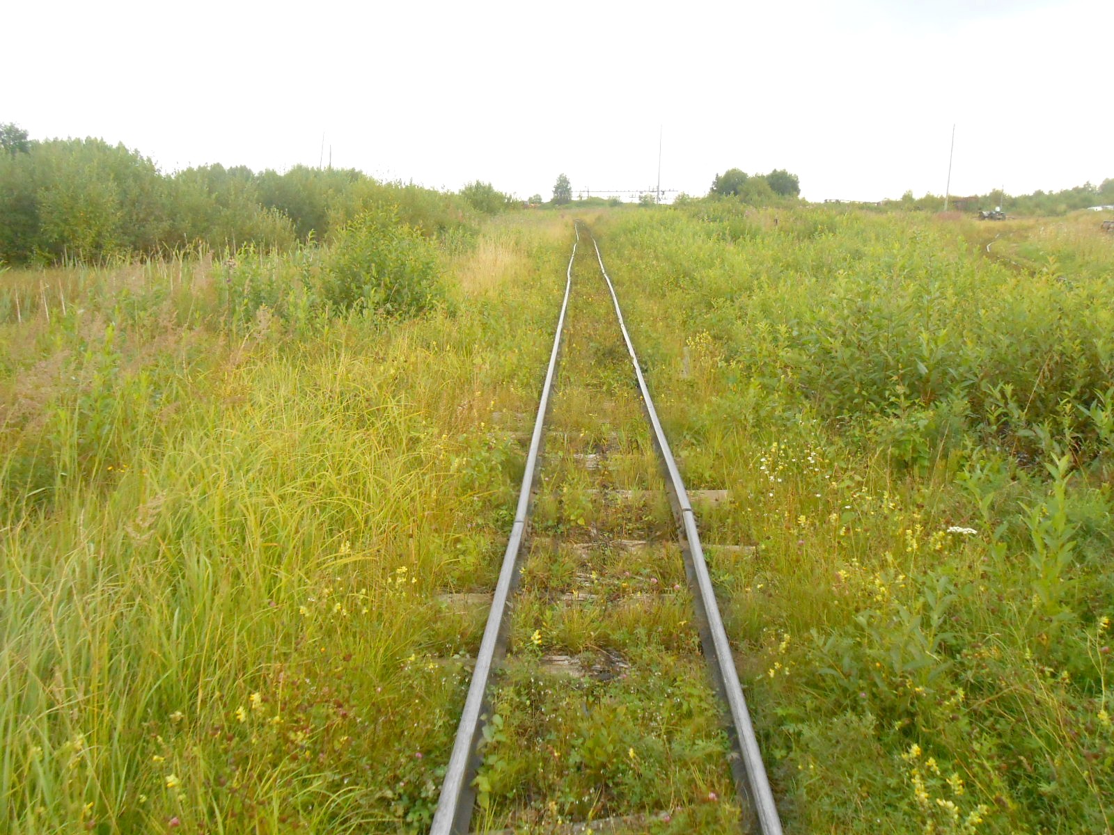 Лойгинская узкоколейная железная дорога
  —  фотографии, сделанные в 2017 году (часть 5)