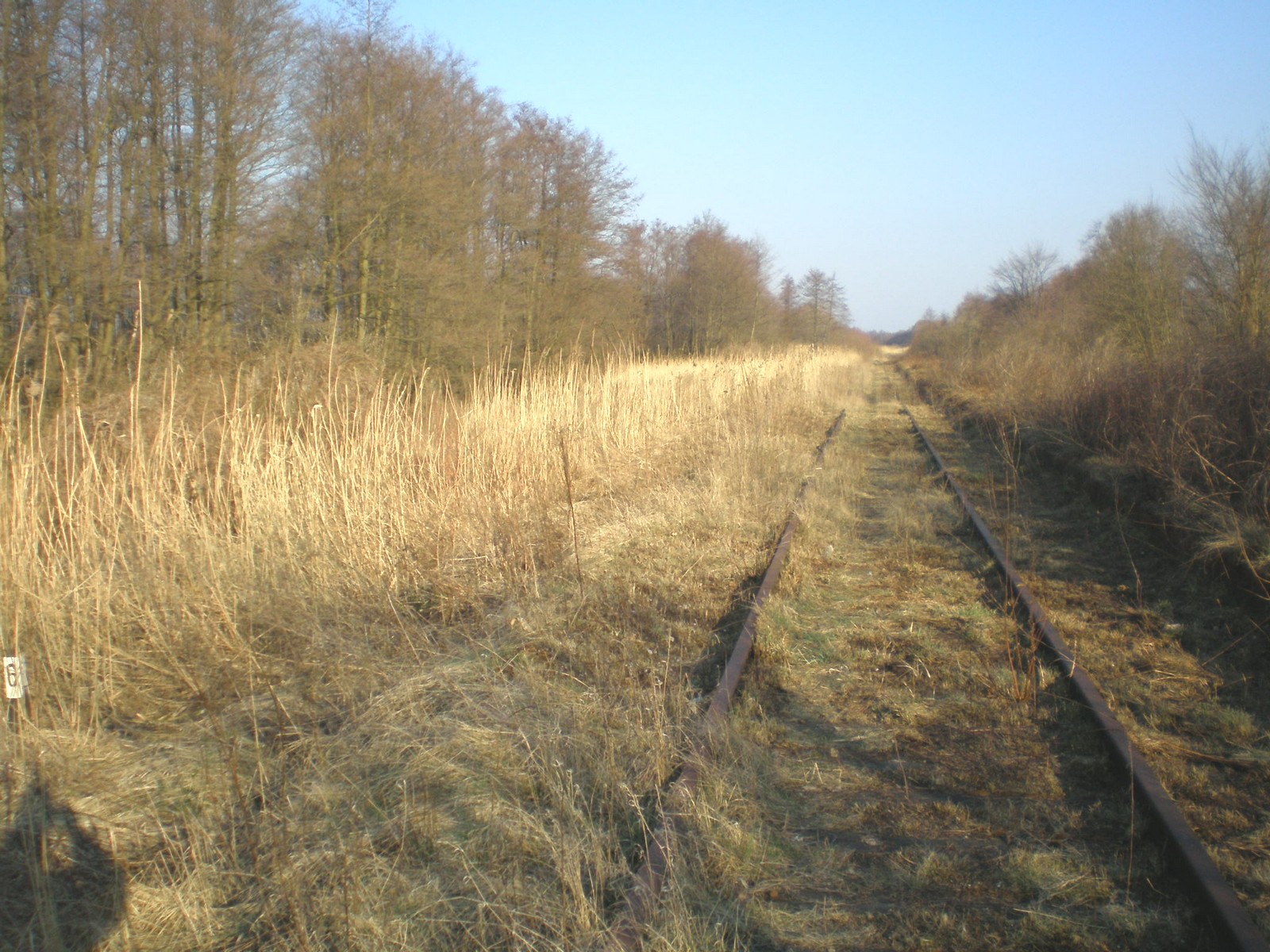 Железнодорожная линия Светлогорск — Приморск
  —  фотографии, сделанные в 2008 году (часть 7)