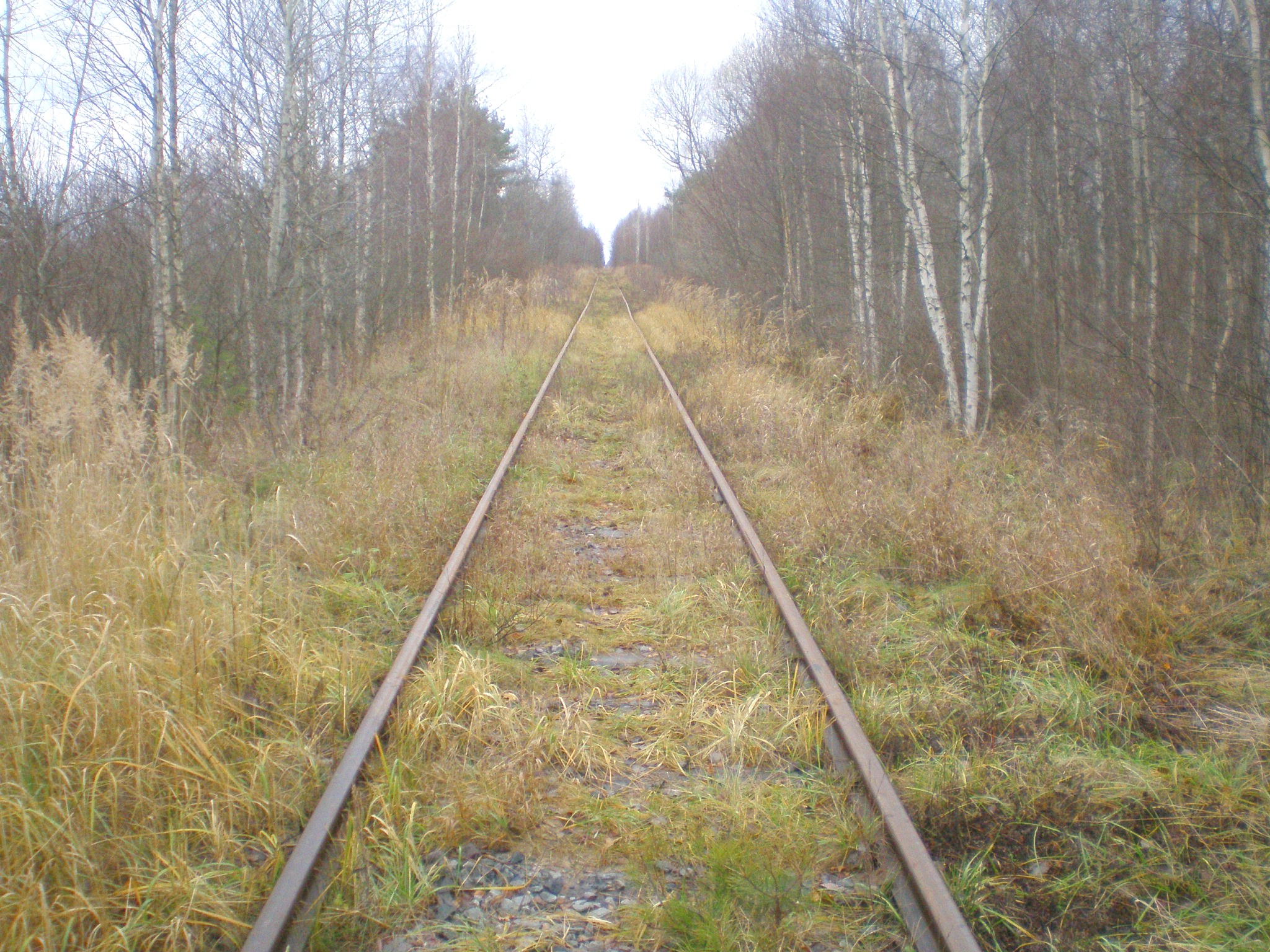 Железнодорожная линия Кривандино — Мишеронь  —  фотографии, сделанные в 2008 году (часть 6)