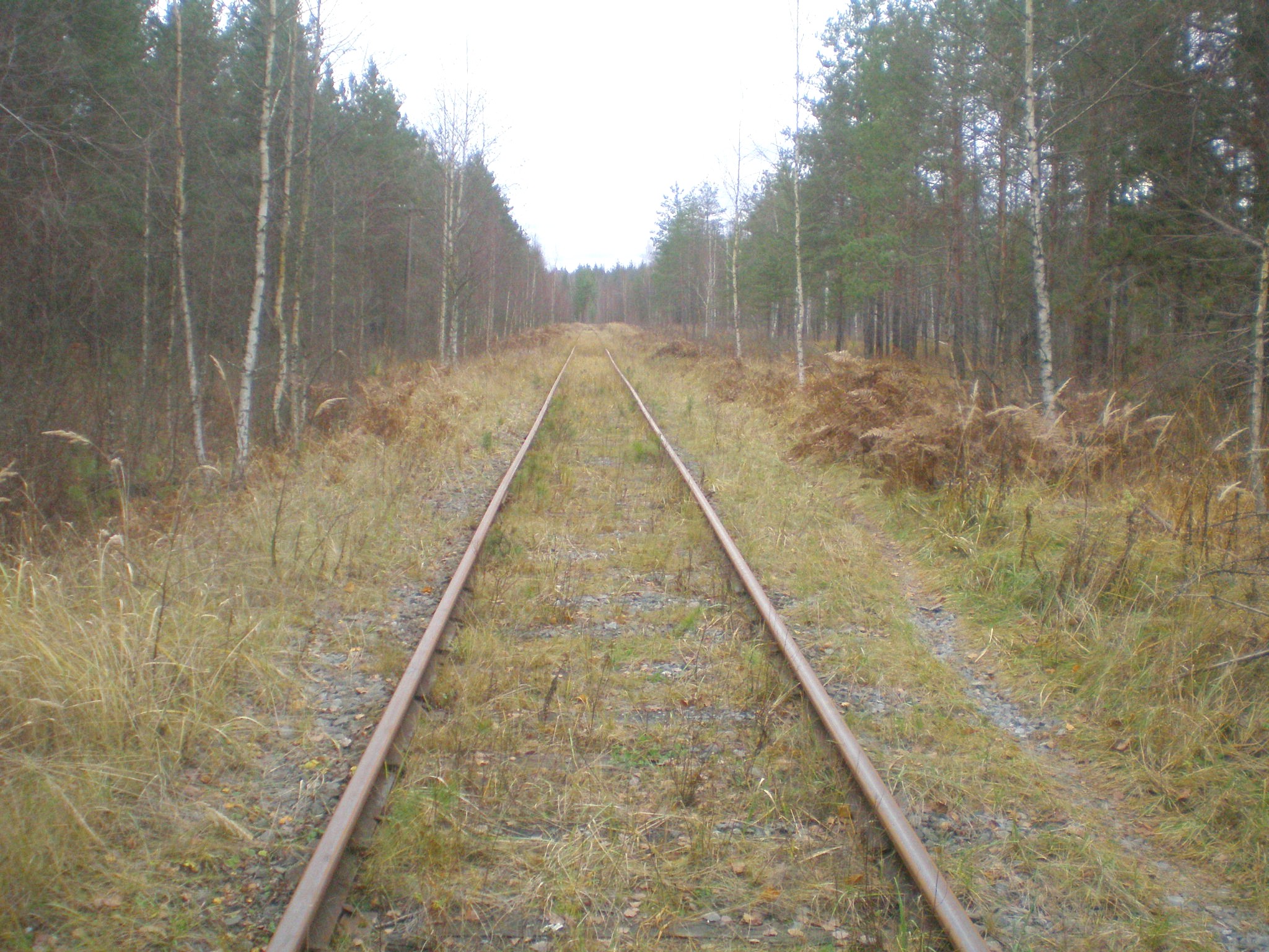 Железнодорожная линия Кривандино — Мишеронь  —  фотографии, сделанные в 2008 году (часть 14)