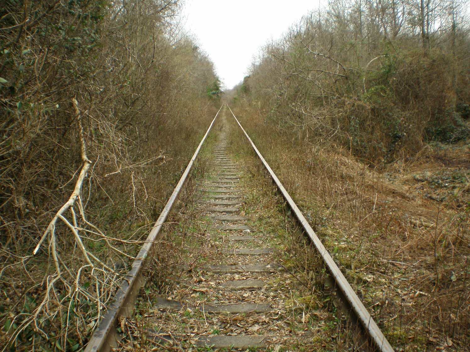 Абхазская железная дорога — фотографии, сделанные в 2008 году (часть 19)