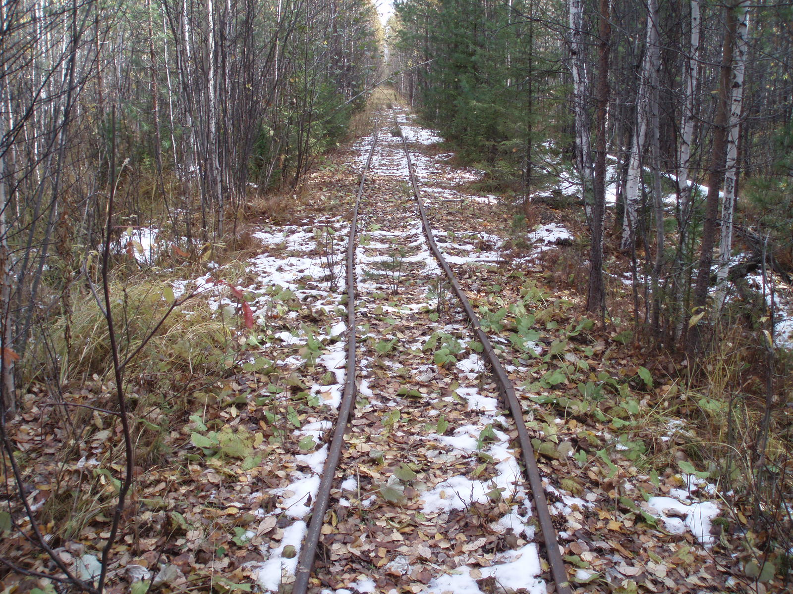 Андриановская узкоколейная железная дорога - фотографии (часть 5)