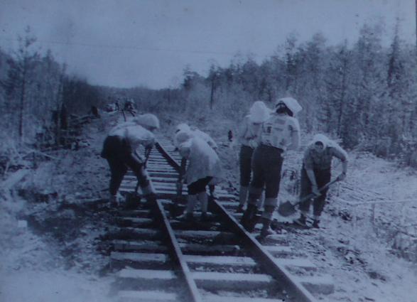 Андриановская узкоколейная железная дорога - исторические фотографии