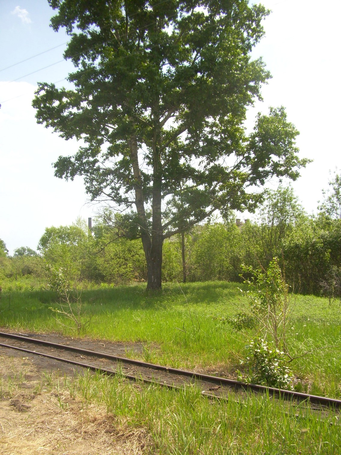 Узкоколейная железная дорога Гусевского предприятия промышленного железнодорожного транспорта
  —  фотографии, сделанные в 2011 году (часть 2)