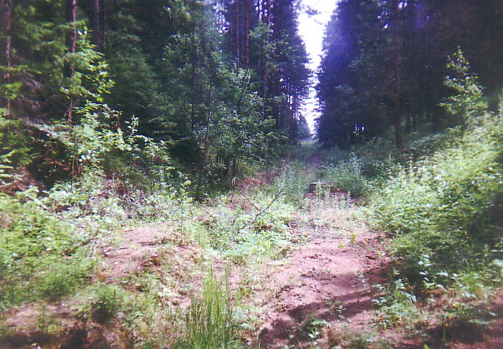 Лужская узкоколейная железная дорога