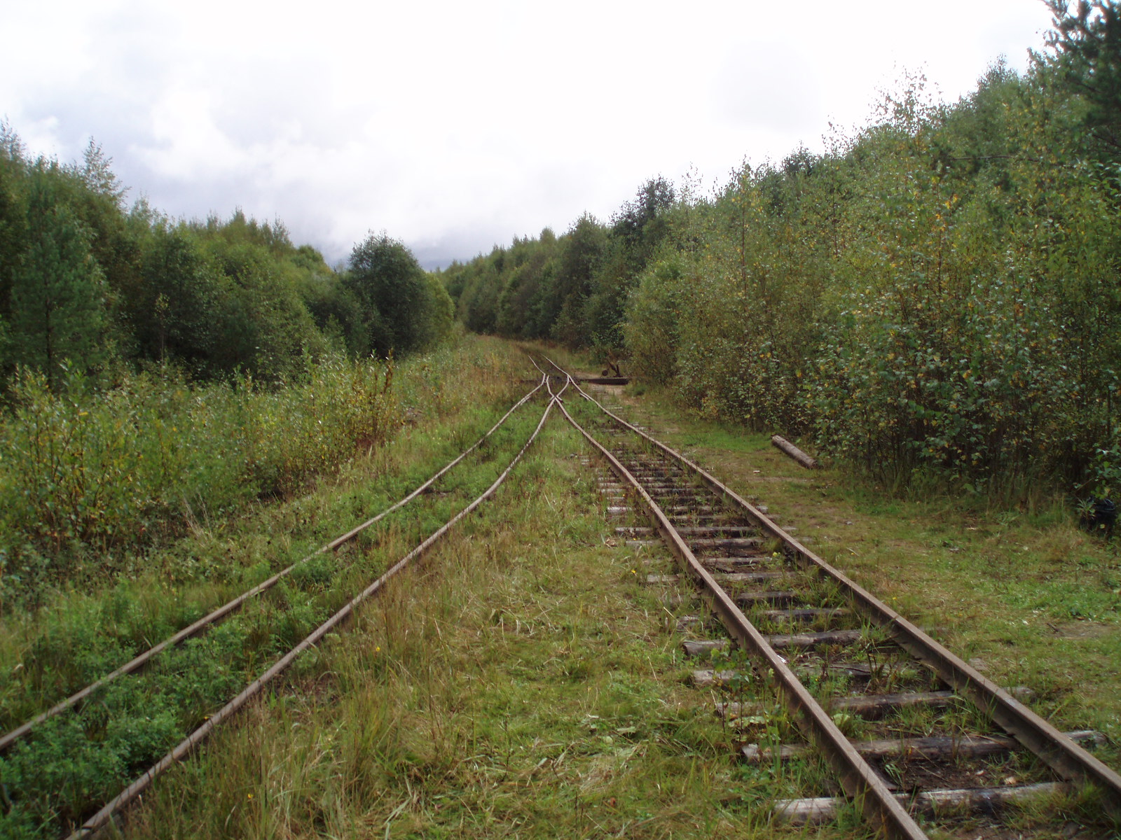 Октябрьская узкоколейная железная дорога - фотографии (часть 5)