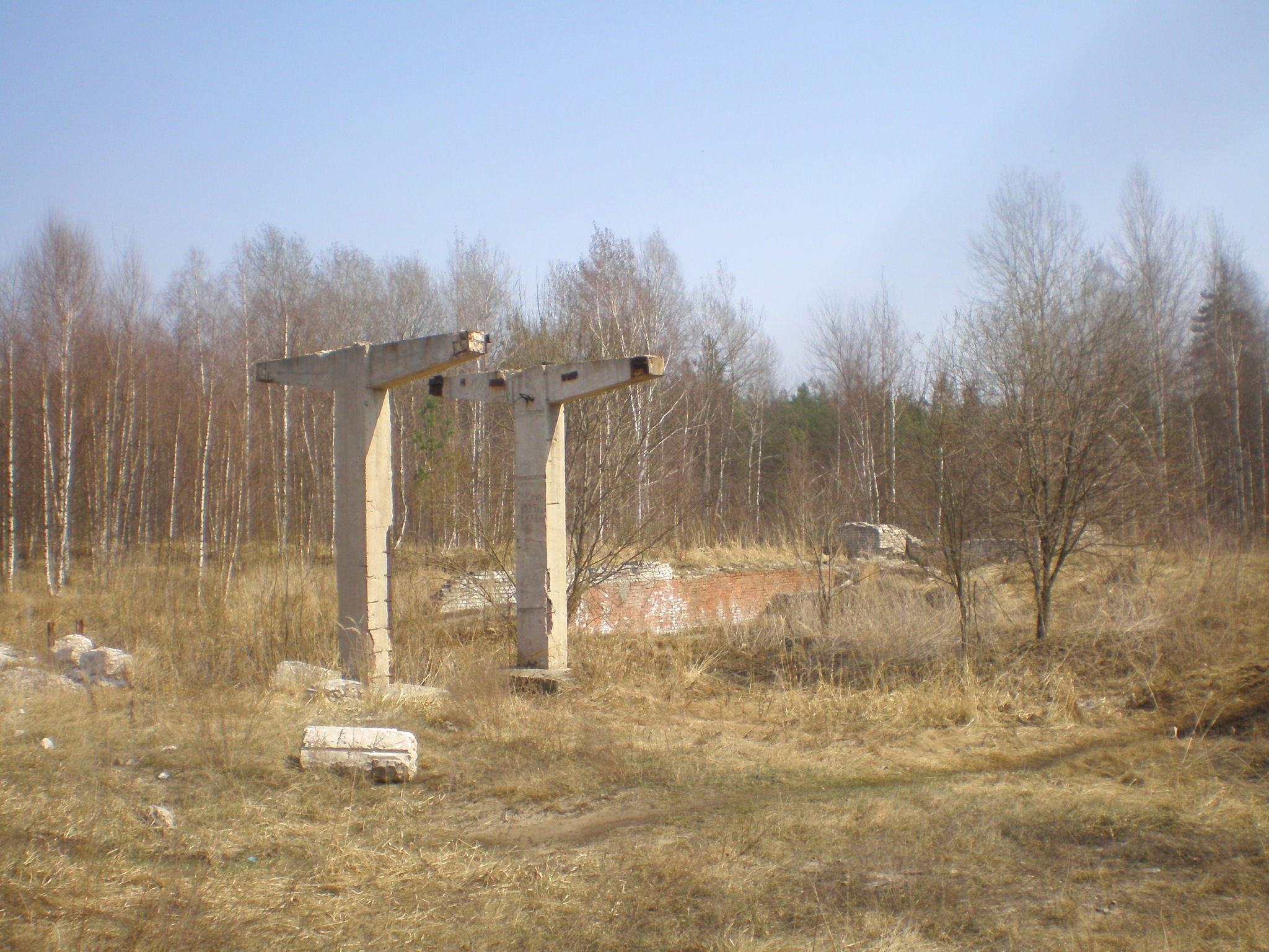 Узкоколейная железная дорога торфопредприятия «Тасин Бор» — фотографии, сделанные в 2009 году (часть 1)