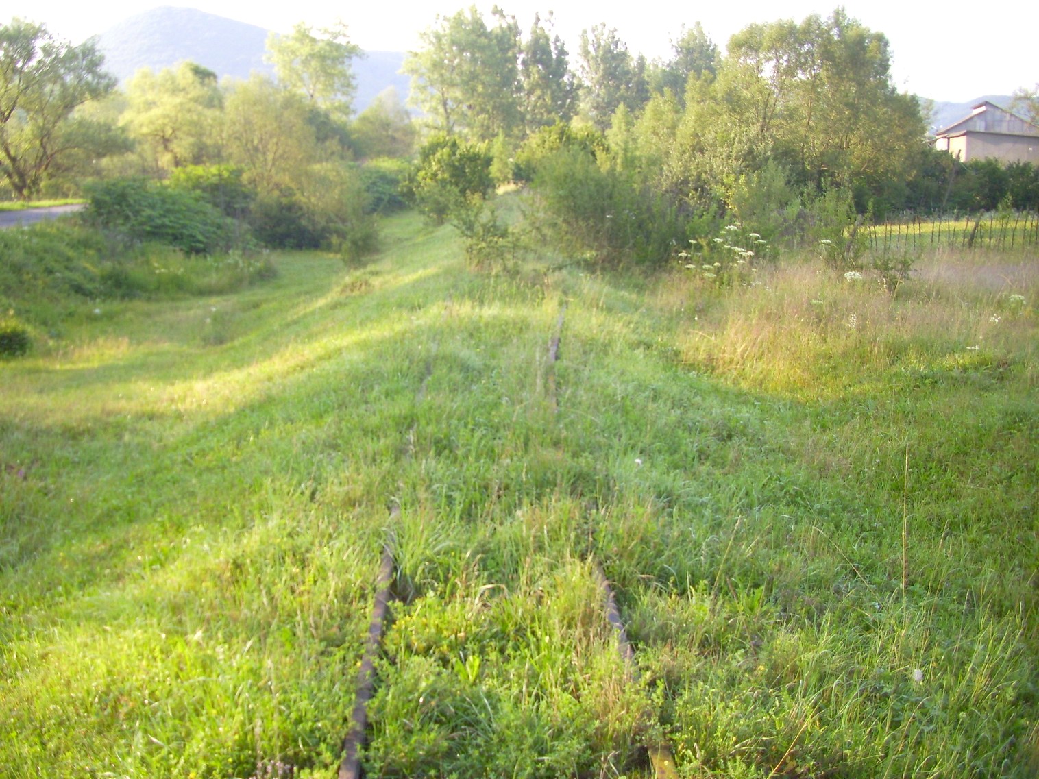 Боржавская узкоколейная железная дорога
  —  фотографии, сделанные в 2011 году (часть 2)