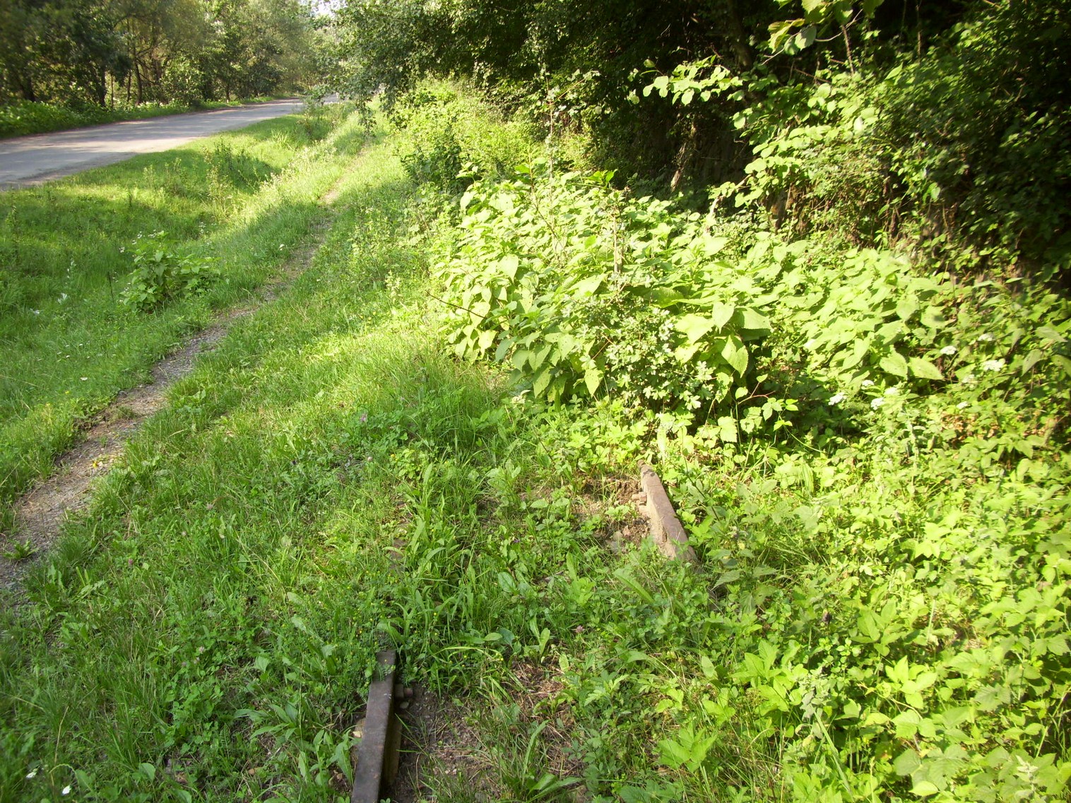Боржавская узкоколейная железная дорога
  —  фотографии, сделанные в 2011 году (часть 4)
