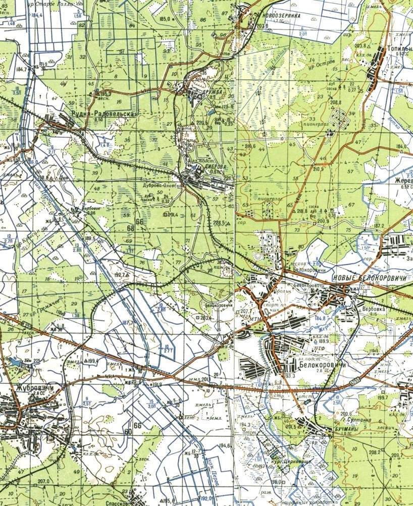 Узкоколейная железная дорога  Бучманского торфопредприятия