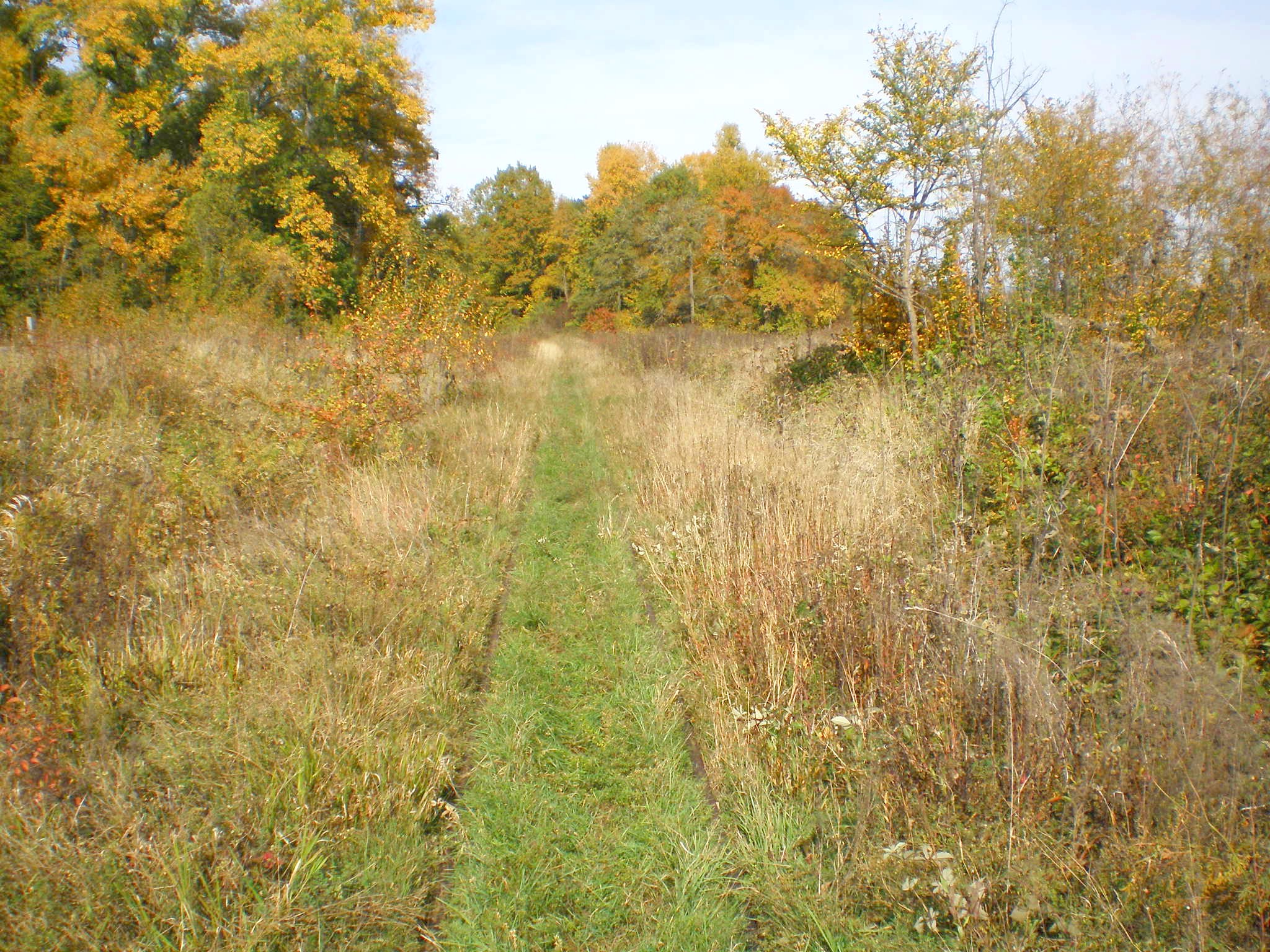 Апшеронская узкоколейная  железная дорога  —  фотографии, сделанные в 2007 году (часть 15)