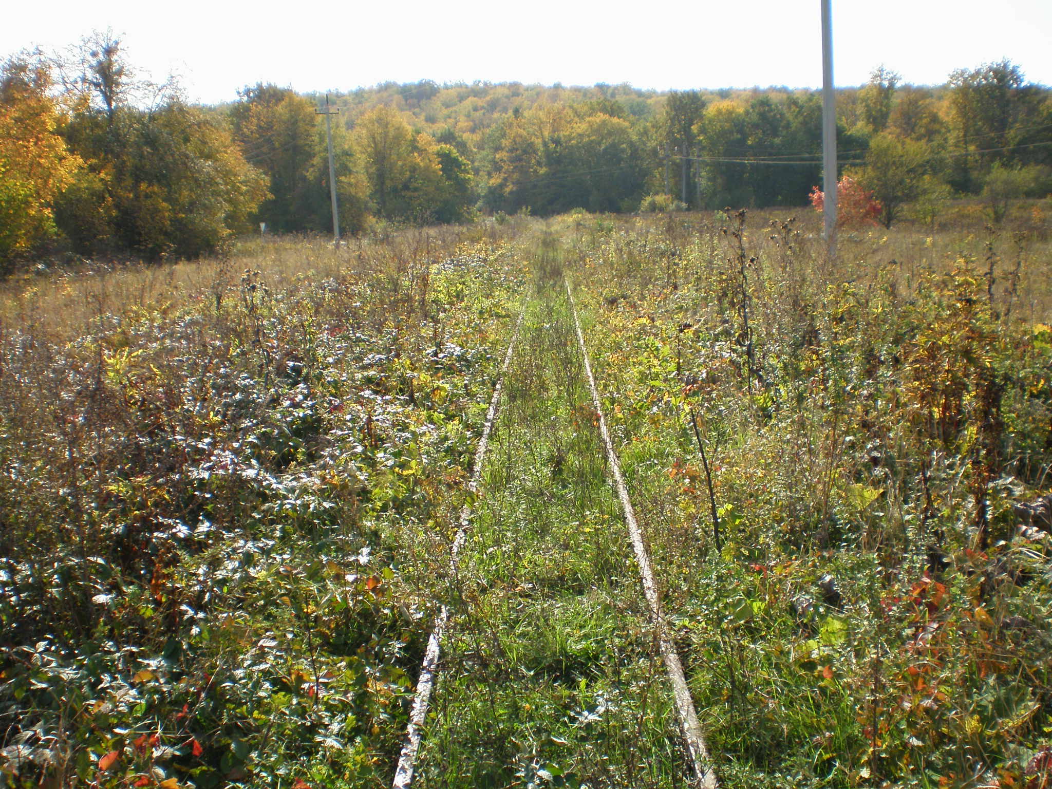 Апшеронская узкоколейная  железная дорога  —  фотографии, сделанные в 2007 году (часть 17)