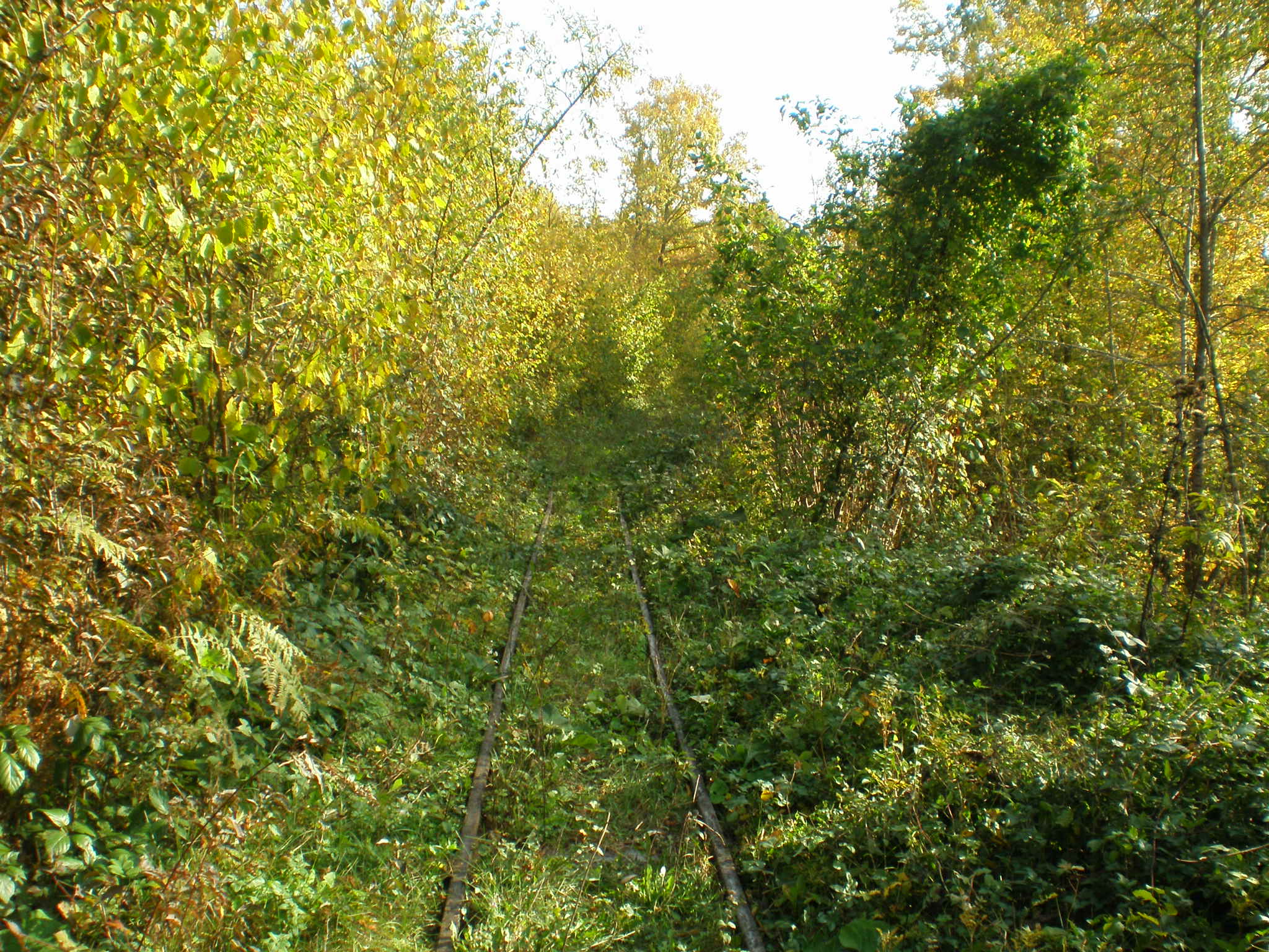 Апшеронская узкоколейная  железная дорога  —  фотографии, сделанные в 2007 году (часть 22)