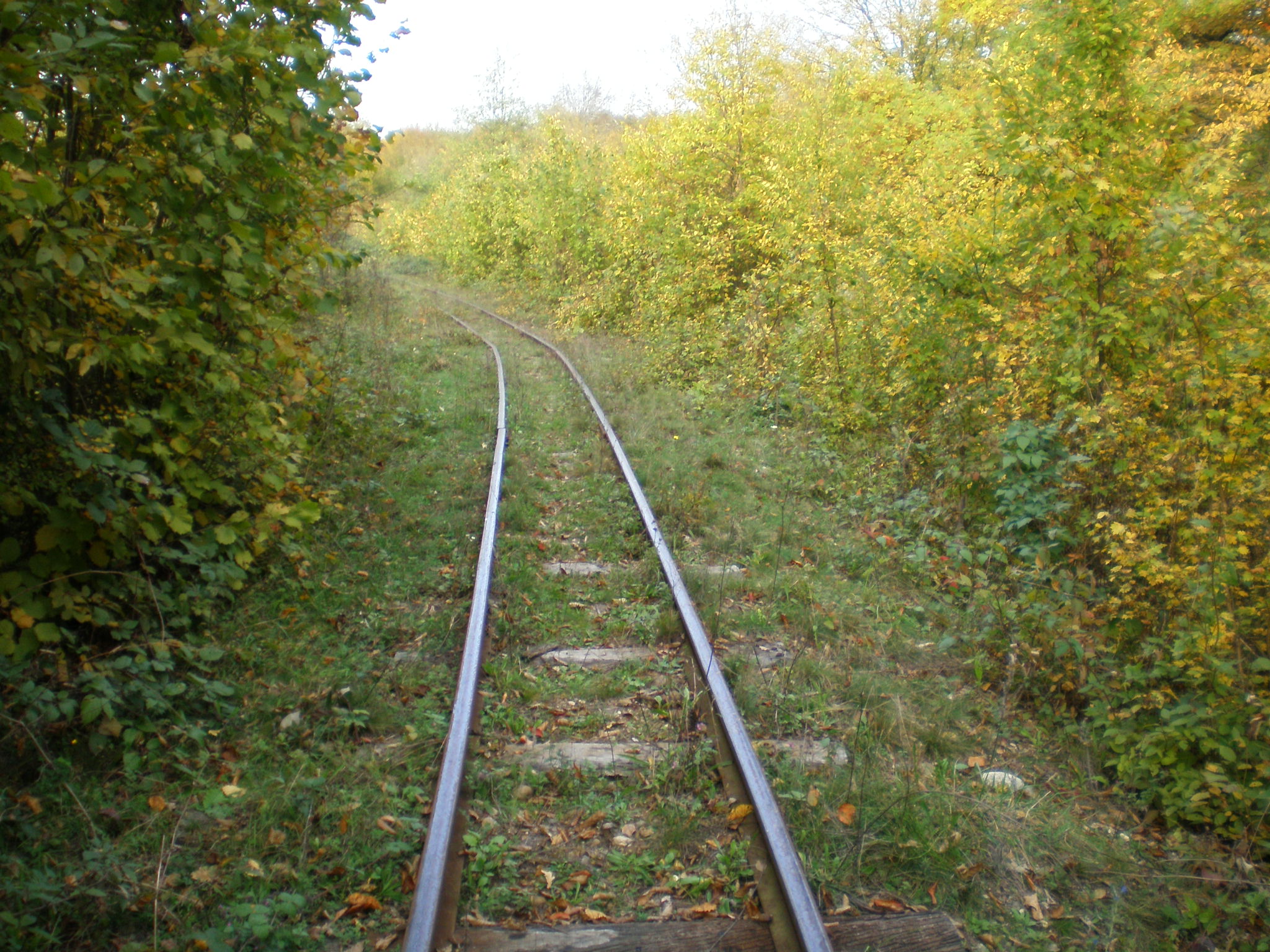Апшеронская узкоколейная  железная дорога  —  фотографии, сделанные в 2007 году (часть 26)