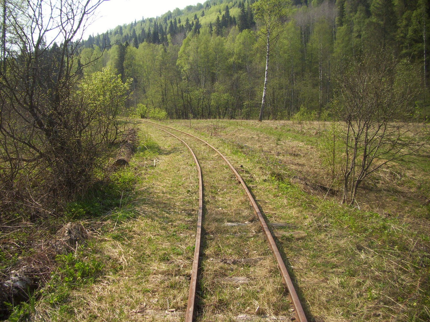 Яман-Елгинская узкоколейная железная дорога — фотографии, сделанные в 2010 году (часть 12)
