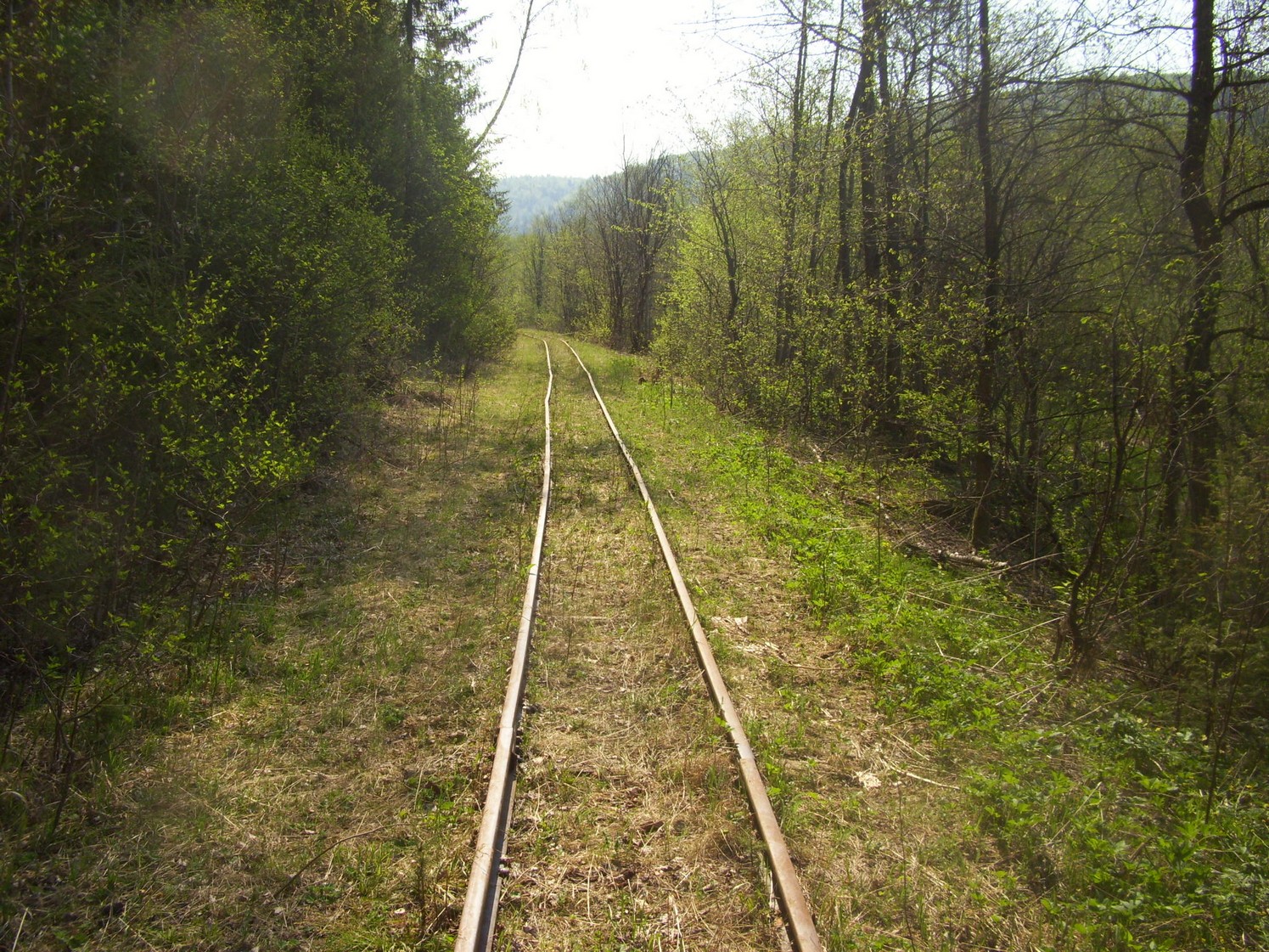 Яман-Елгинская узкоколейная железная дорога — фотографии, сделанные в 2010 году (часть 13)