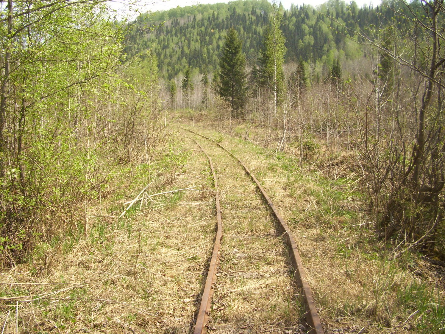 Яман-Елгинская узкоколейная железная дорога — фотографии, сделанные в 2010 году (часть 19)