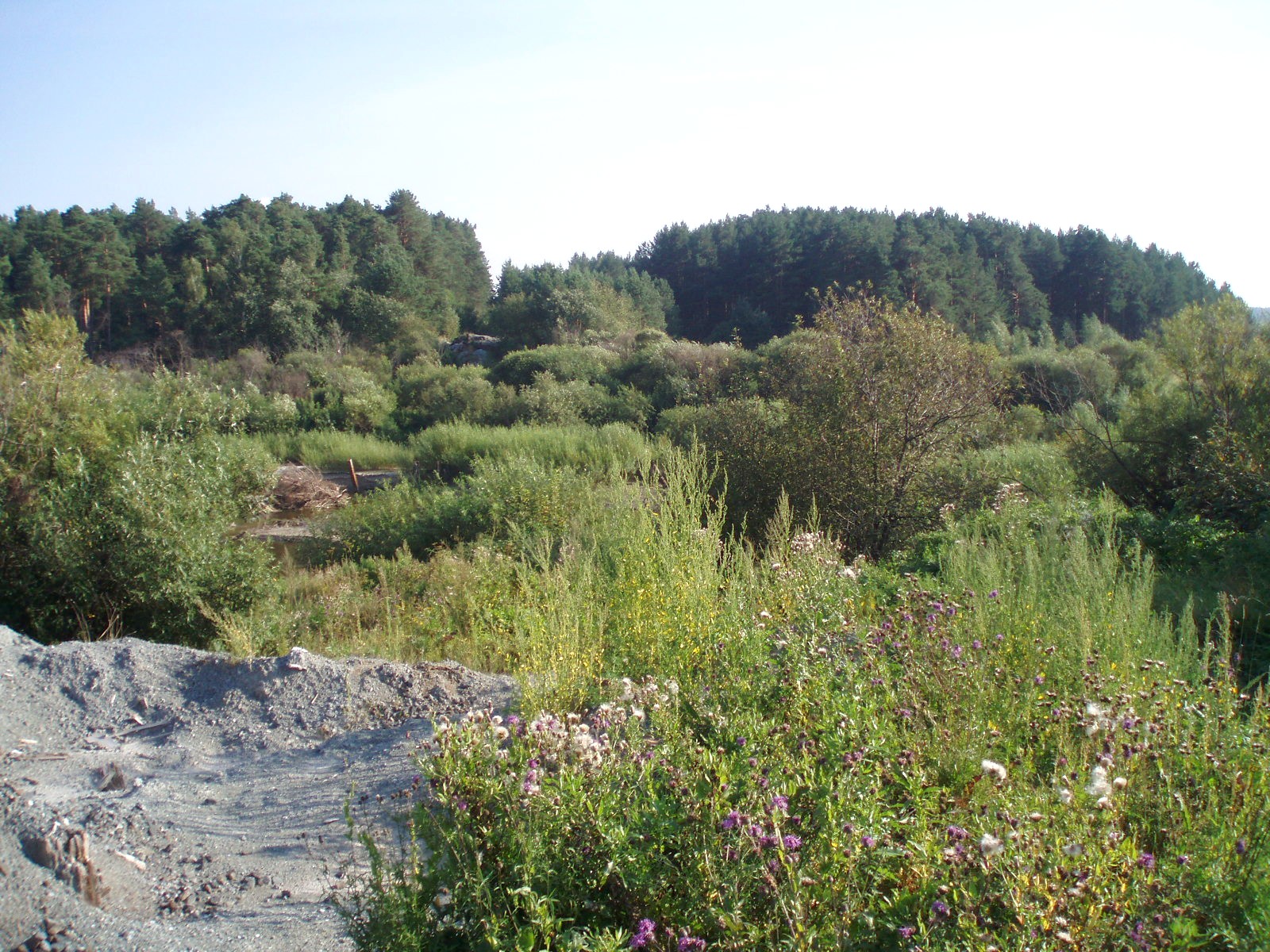 Железнодорожная линия Ощепково  —  Бутка  —  фотографии, сделанные в 2007 году (часть 1)