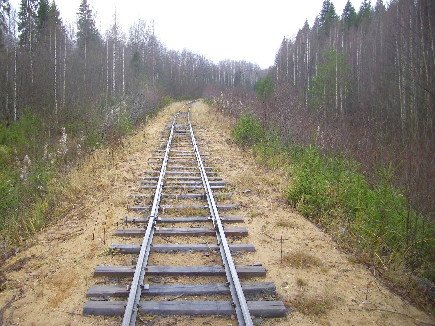 Дубровская узкоколейная железная дорога — фотографии, сделанные в 2009 году (часть 9)