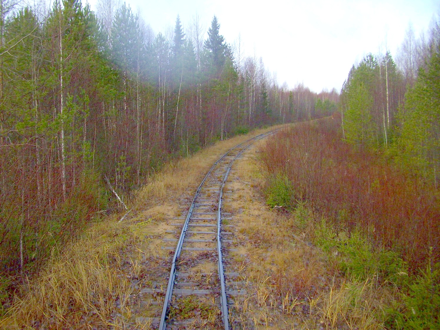 Дубровская узкоколейная железная дорога — фотографии, сделанные в 2009 году (часть 11)