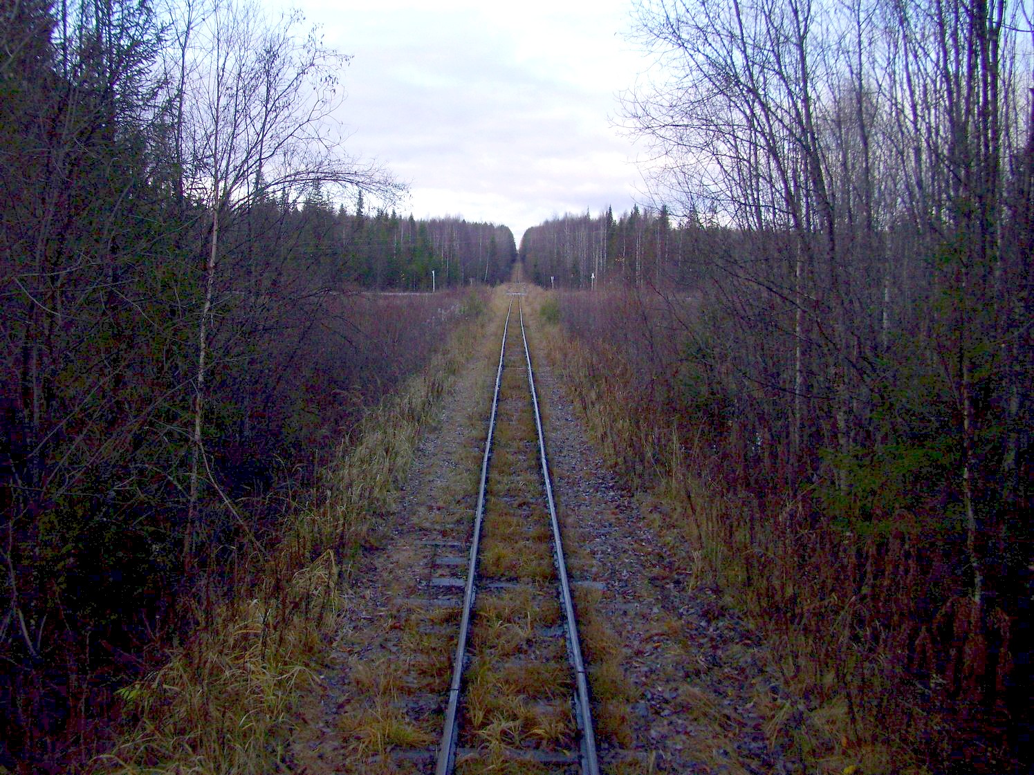 Дубровская узкоколейная железная дорога — фотографии, сделанные в 2009 году (часть 18)