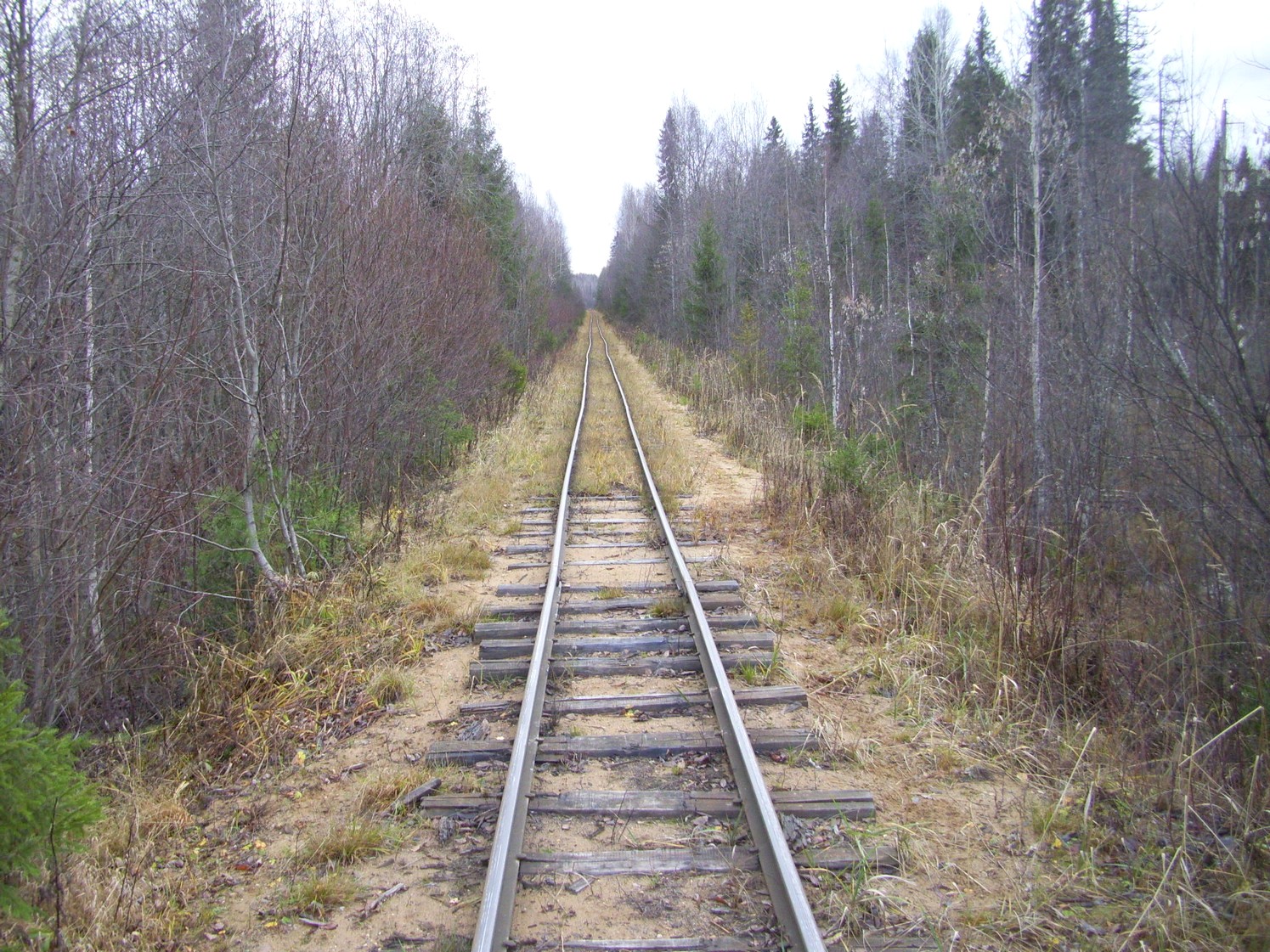 Дубровская узкоколейная железная дорога — фотографии, сделанные в 2009 году (часть 23)