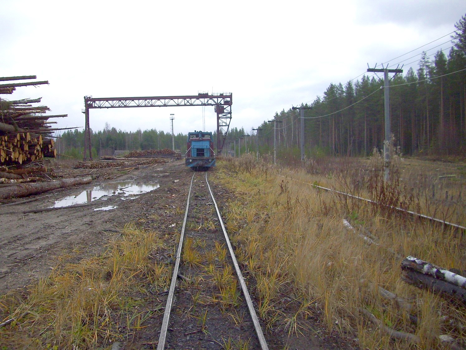 Дубровская узкоколейная железная дорога — фотографии, сделанные в 2009 году (часть 5)