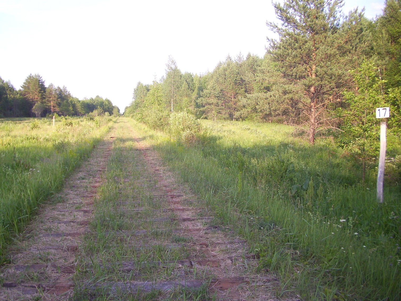Железнодорожная линия Полпинская  —  Дудорево  —  фотографии, сделанные в 2011 году (часть 9)