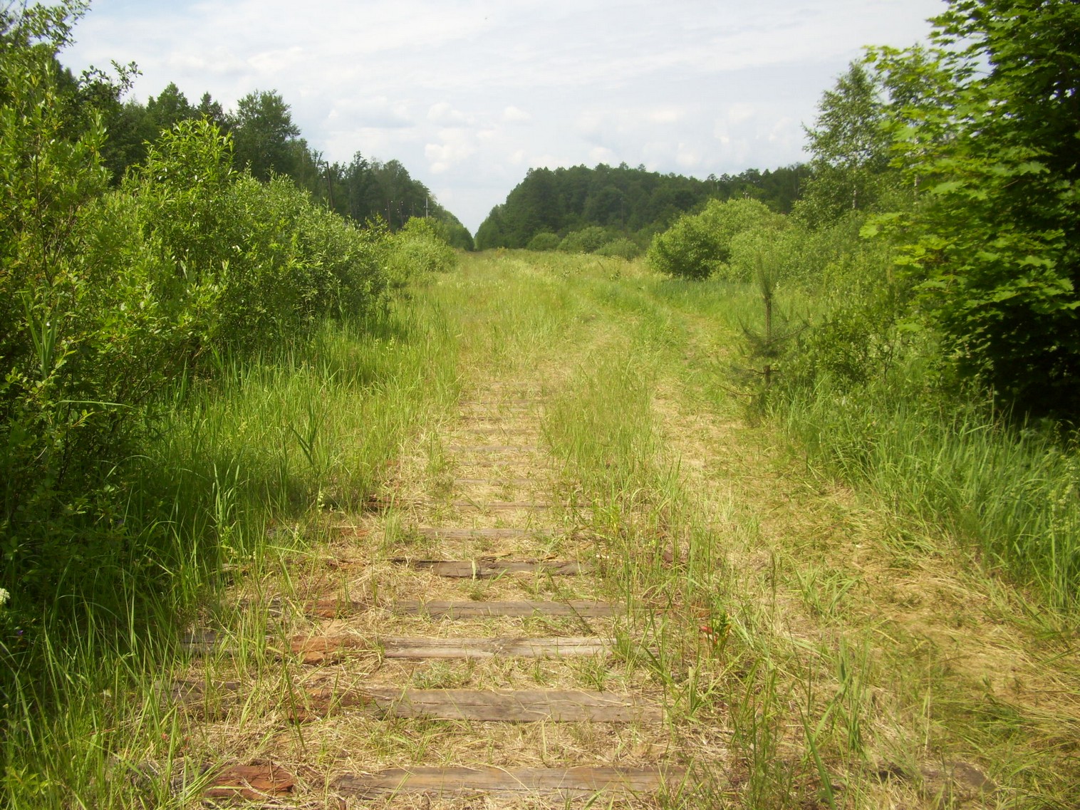 Железнодорожная линия Полпинская  —  Дудорево  —  фотографии, сделанные в 2011 году (часть 15)