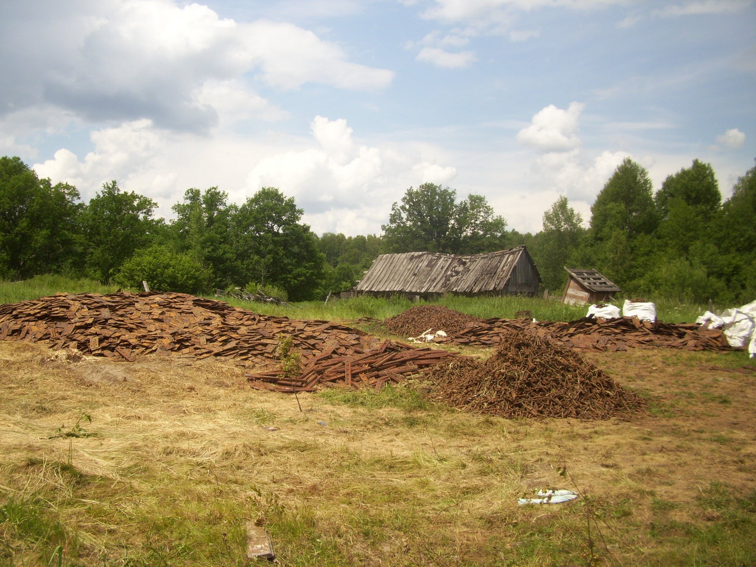 Железнодорожная линия Полпинская  —  Дудорево  —  фотографии, сделанные в 2011 году (часть 16)