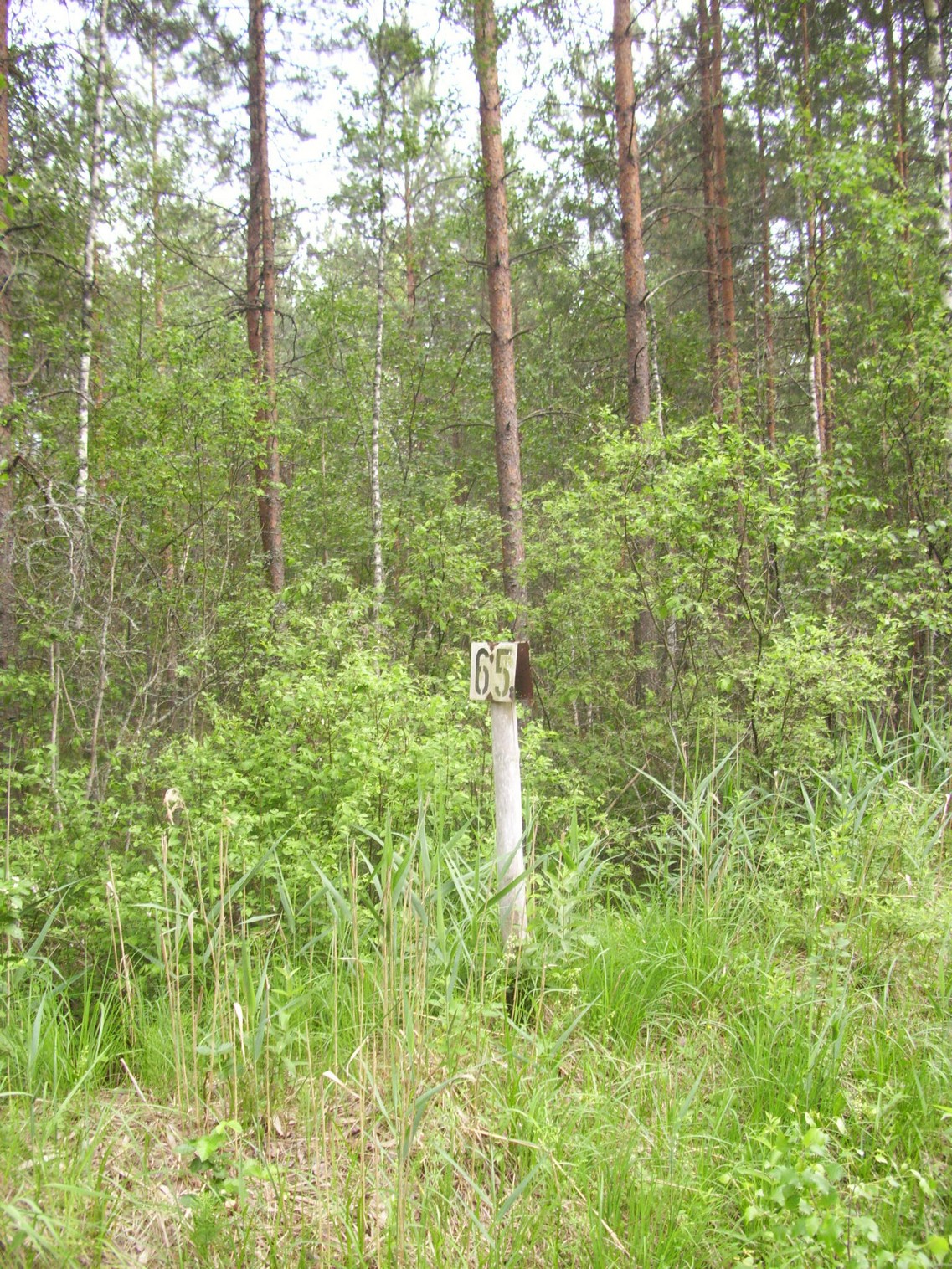 Железнодорожная линия Полпинская  —  Дудорево  —  фотографии, сделанные в 2011 году (часть 23)