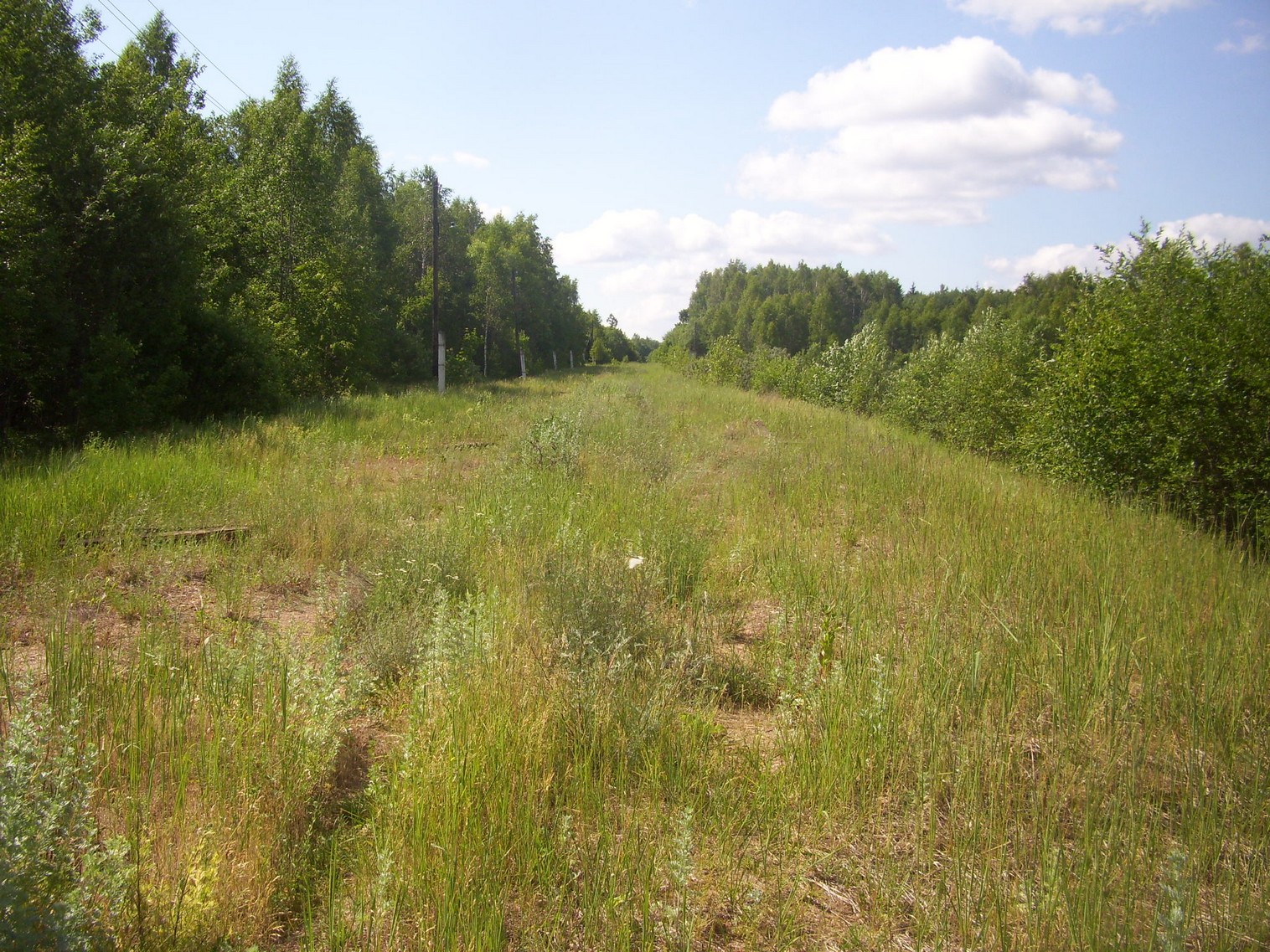 Железнодорожная линия Полпинская  —  Дудорево  —  фотографии, сделанные в 2011 году (часть 27)