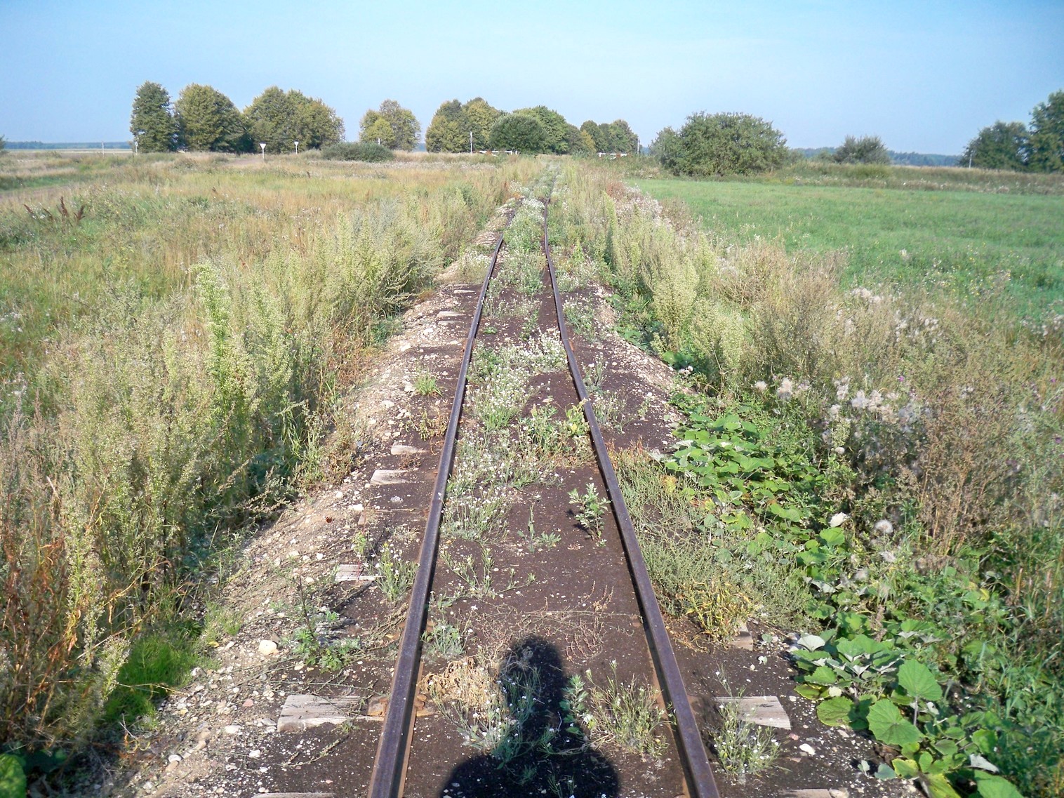 Узкоколейная железная дорога торфопредприятия в Кабушкино
  —  фотографии, сделанные в 2013 году (часть 2)