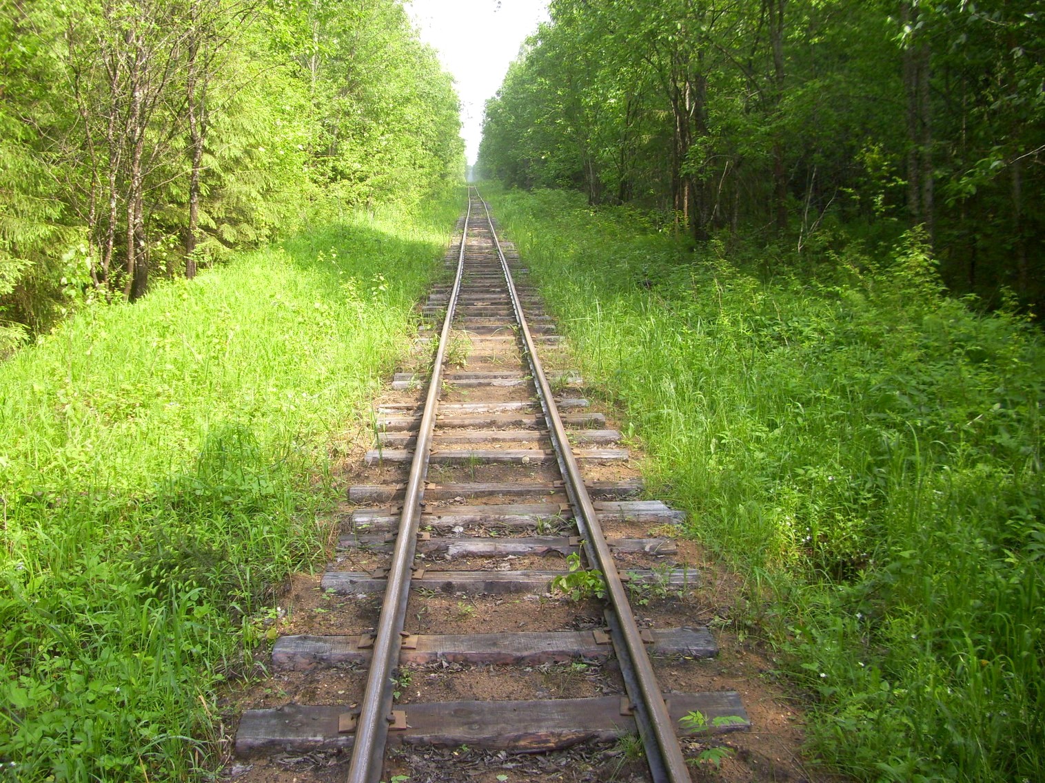 Узкоколейная железная дорога Каринского транспортного управления — фотографии, сделанные в 2012 году (часть 16)