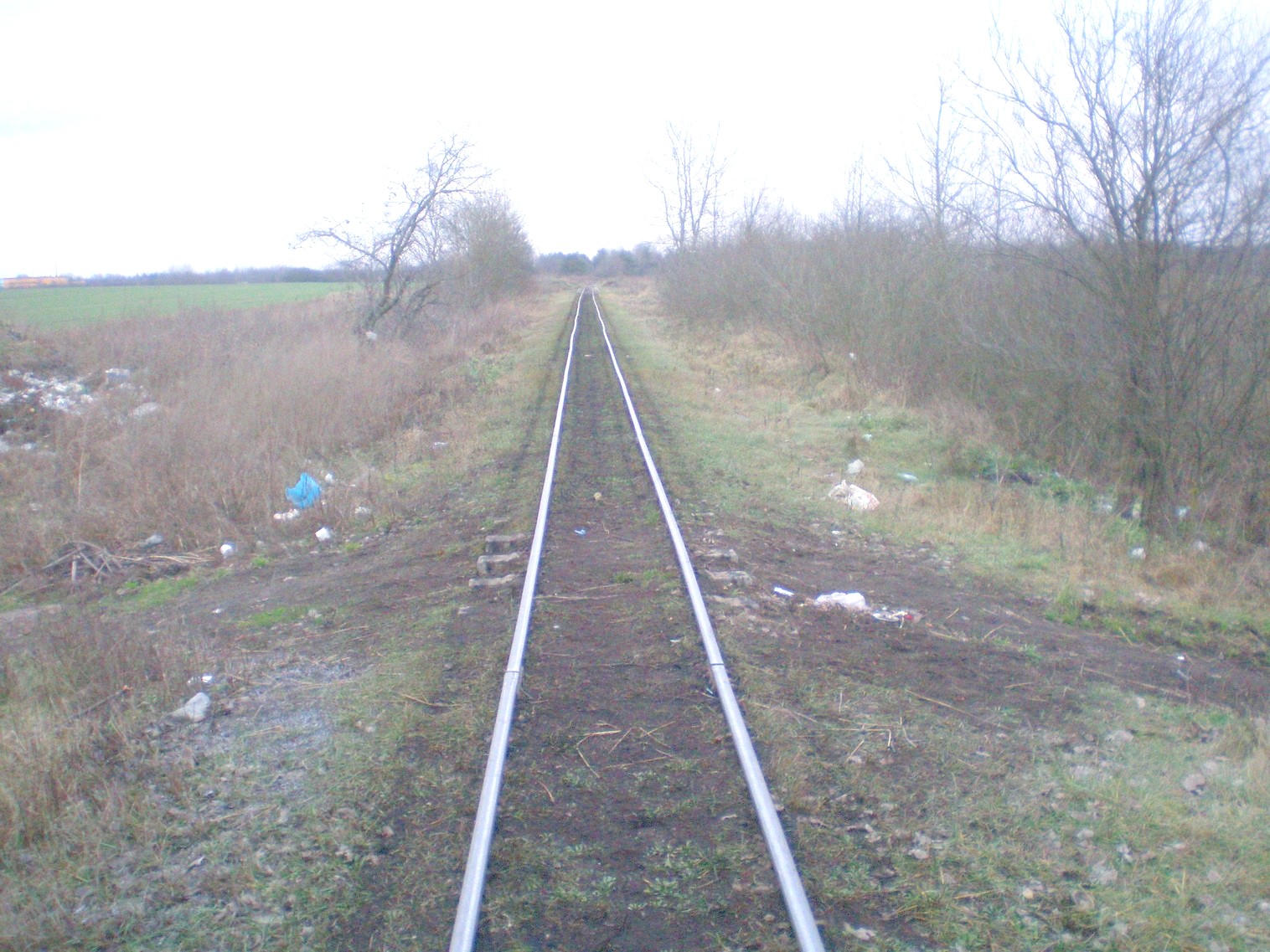 Узкоколейная железная дорога Старобинского торфобрикетного завода
  —  фотографии, сделанные в 2008 году (часть 5)