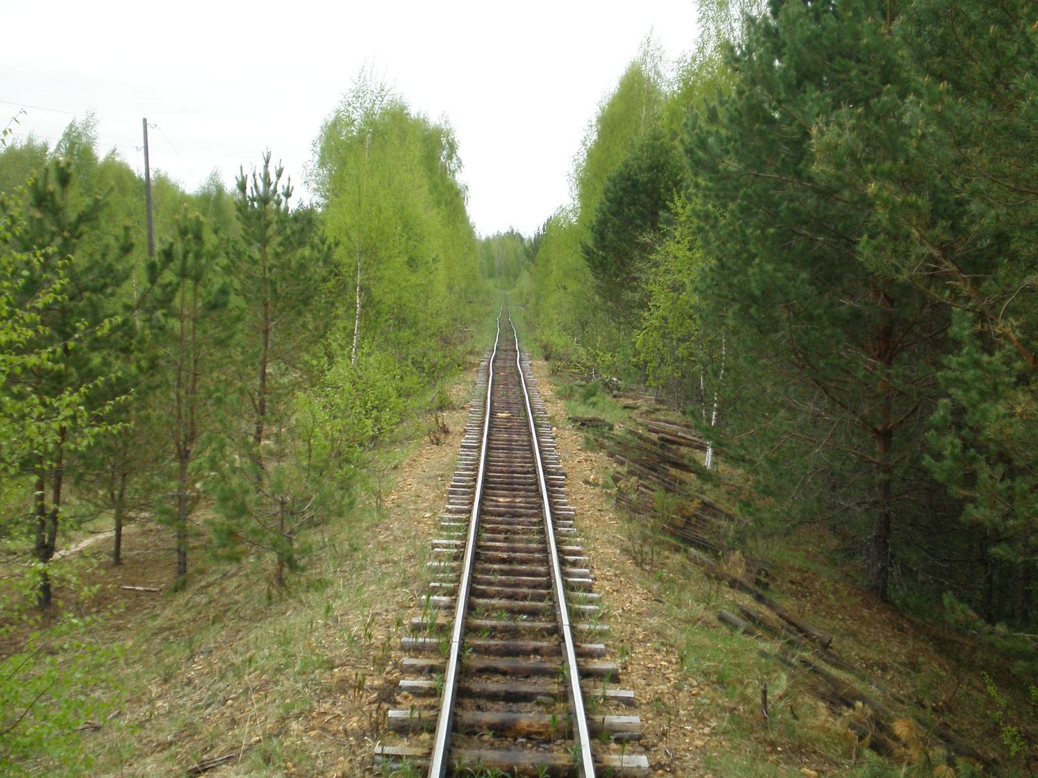 Узкоколейная железная дорога Дымного торфопредприятия   —  фотографии, сделанные в 2008 году (часть 11)