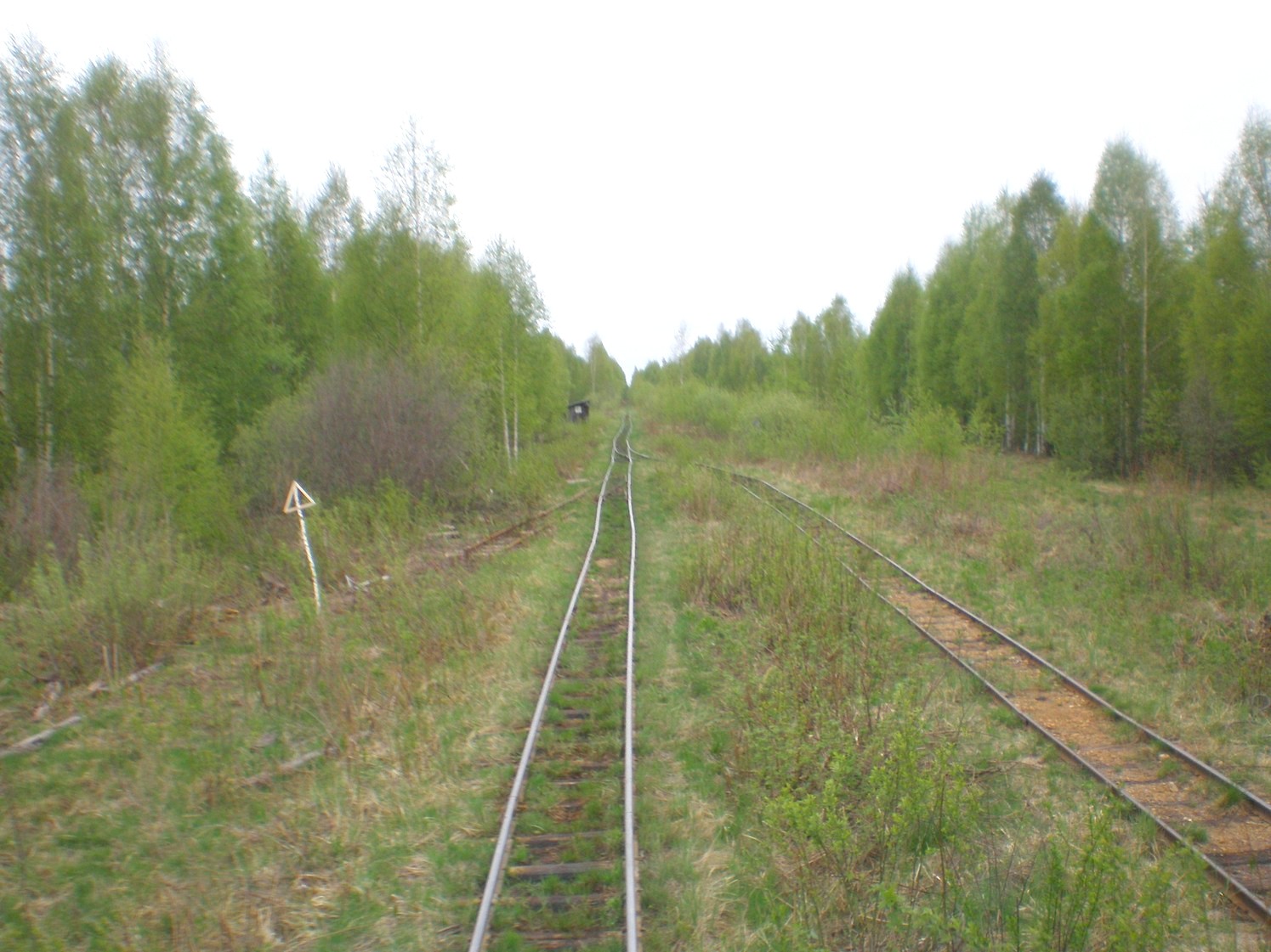 Узкоколейная железная дорога Дымного торфопредприятия   —  фотографии, сделанные в 2008 году (часть 13)