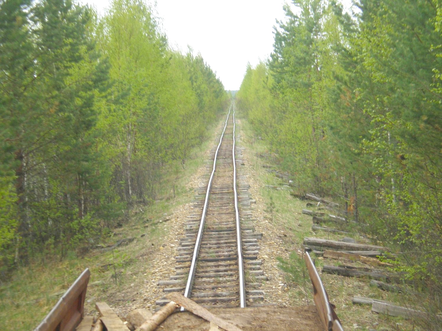 Узкоколейная железная дорога Дымного торфопредприятия   —  фотографии, сделанные в 2008 году (часть 15)