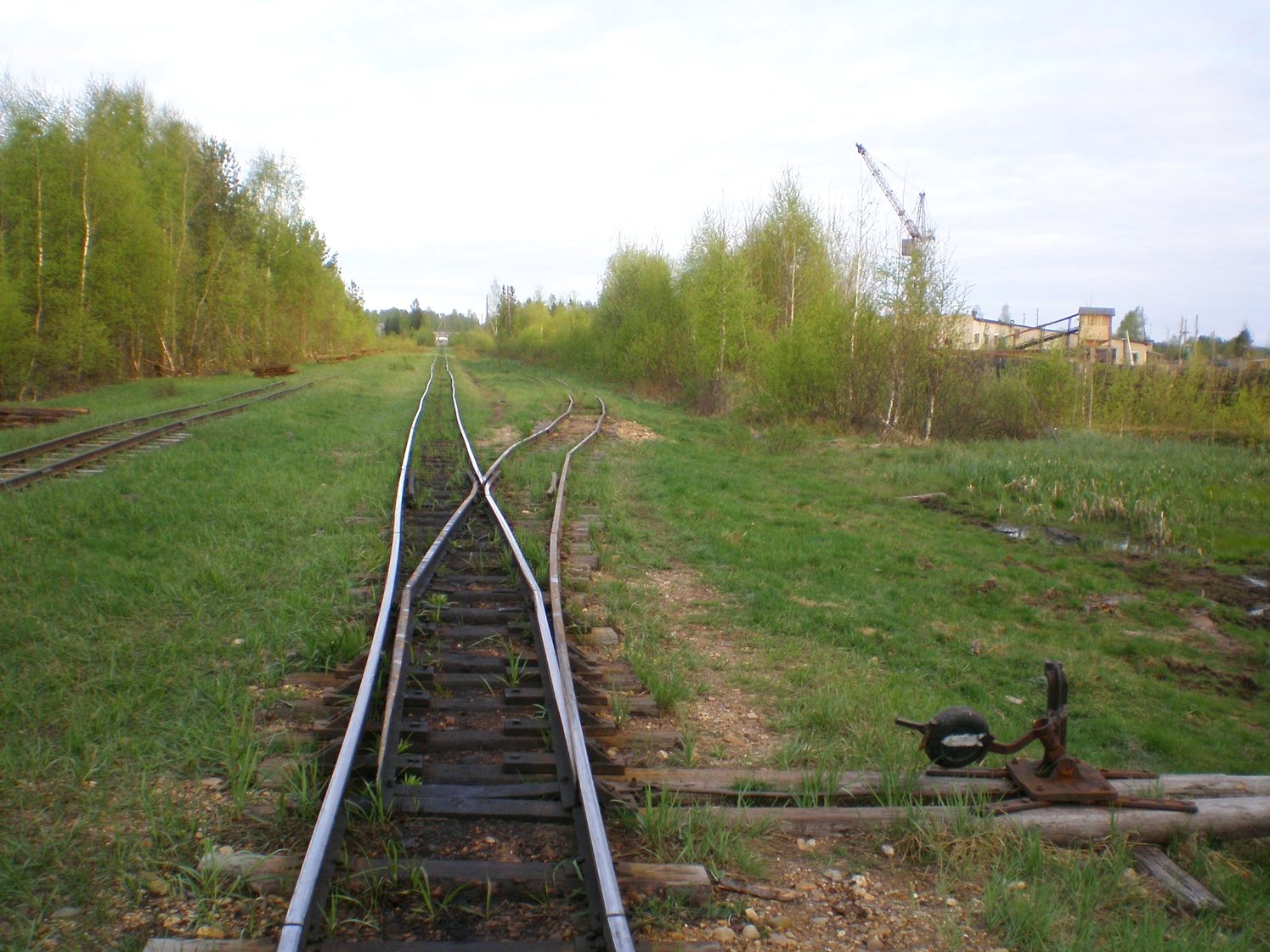Узкоколейная железная дорога Дымного торфопредприятия   —  фотографии, сделанные в 2008 году (часть 3)