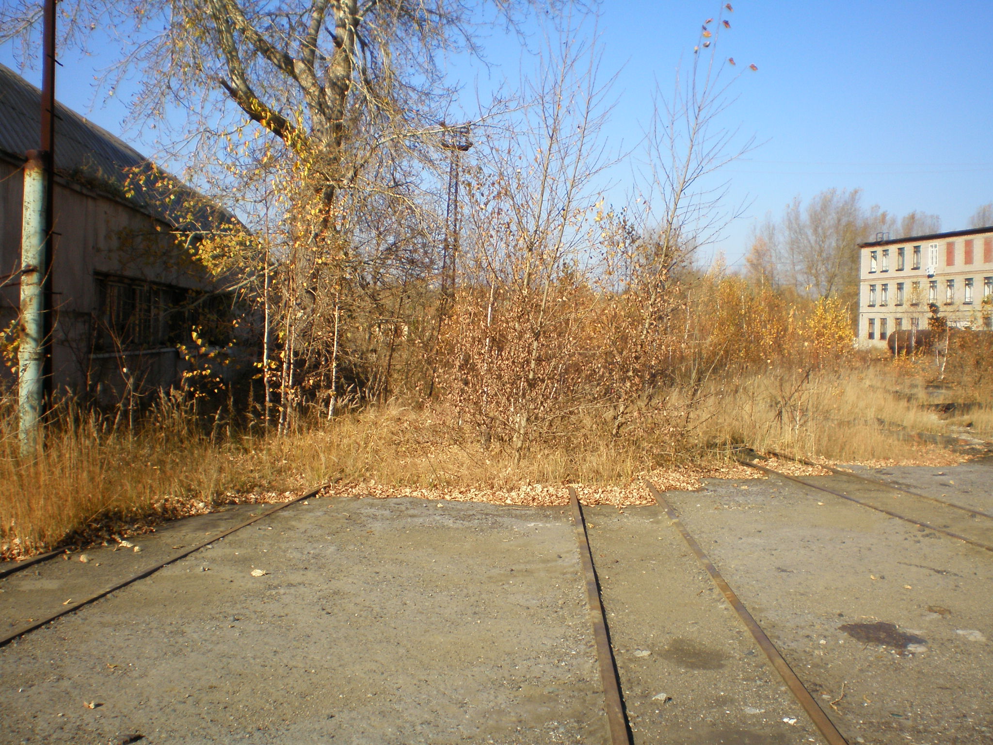 Калатинская узкоколейная железная дорога  —  фотографии, сделанные в 2007 году (часть 3)
