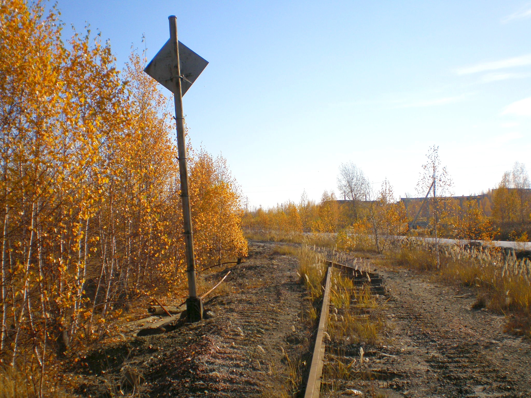 Калатинская узкоколейная железная дорога  —  фотографии, сделанные в 2007 году (часть 5)