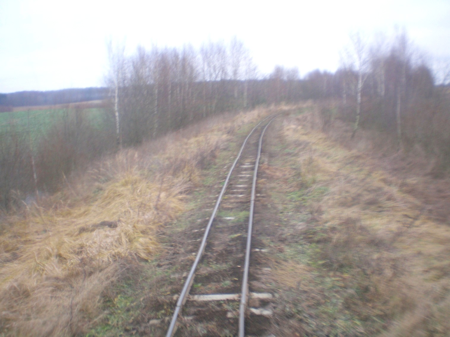 Узкоколейная железная дорога   торфопредприятия   «Колпеница» 
  —  фотографии, сделанные в 2008 году (часть 6)