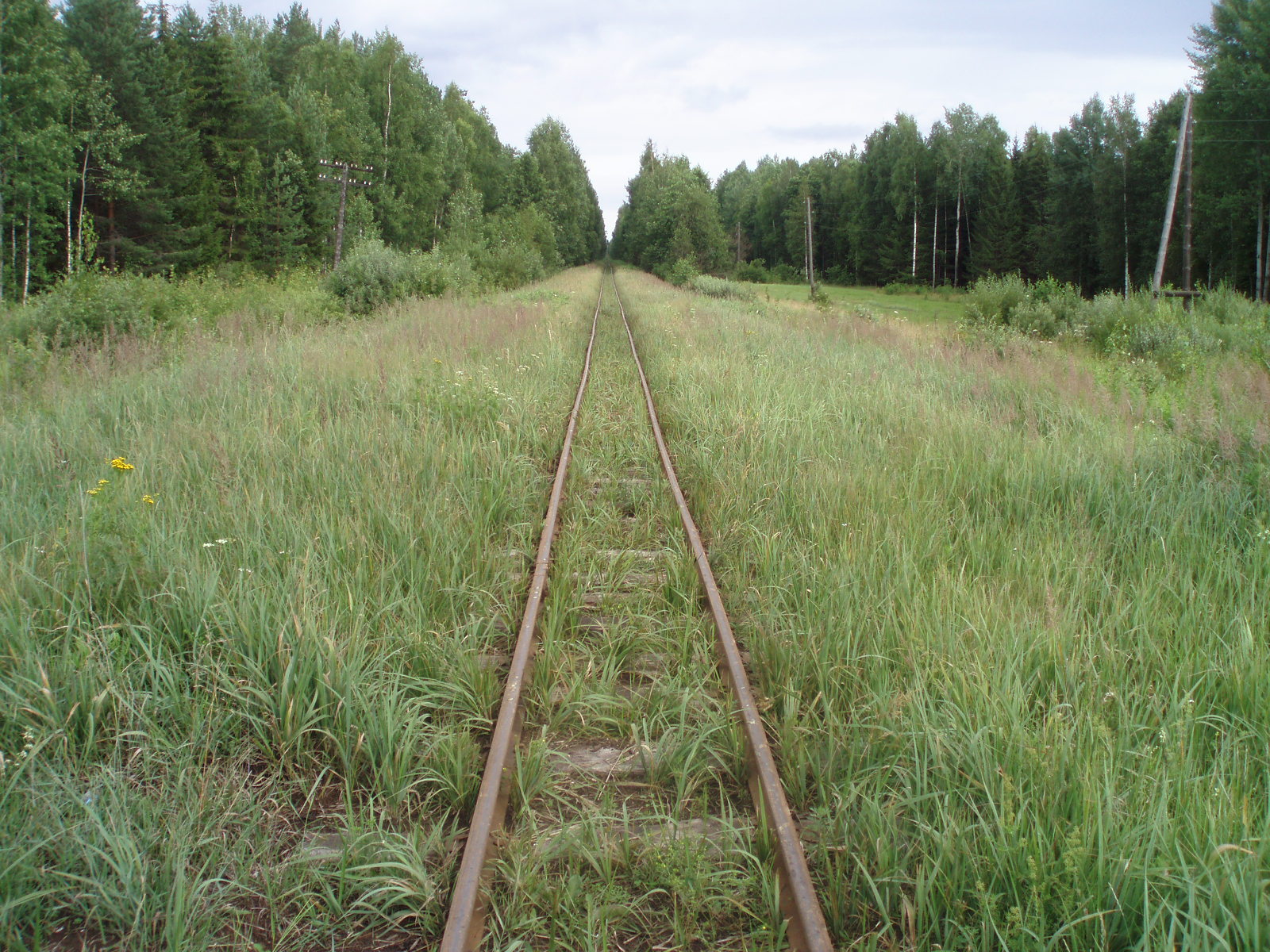 Узкоколейная железная дорога Отворского торфопредприятия  —  фотографии, сделанные в 2007 году (часть 15)