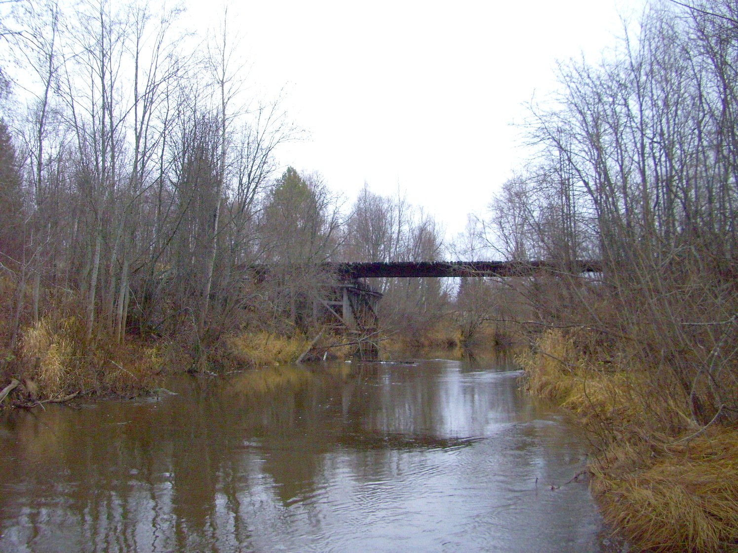 Подрезчихинская узкоколейная железная дорога — фотографии, сделанные в 2009 году (часть 2)