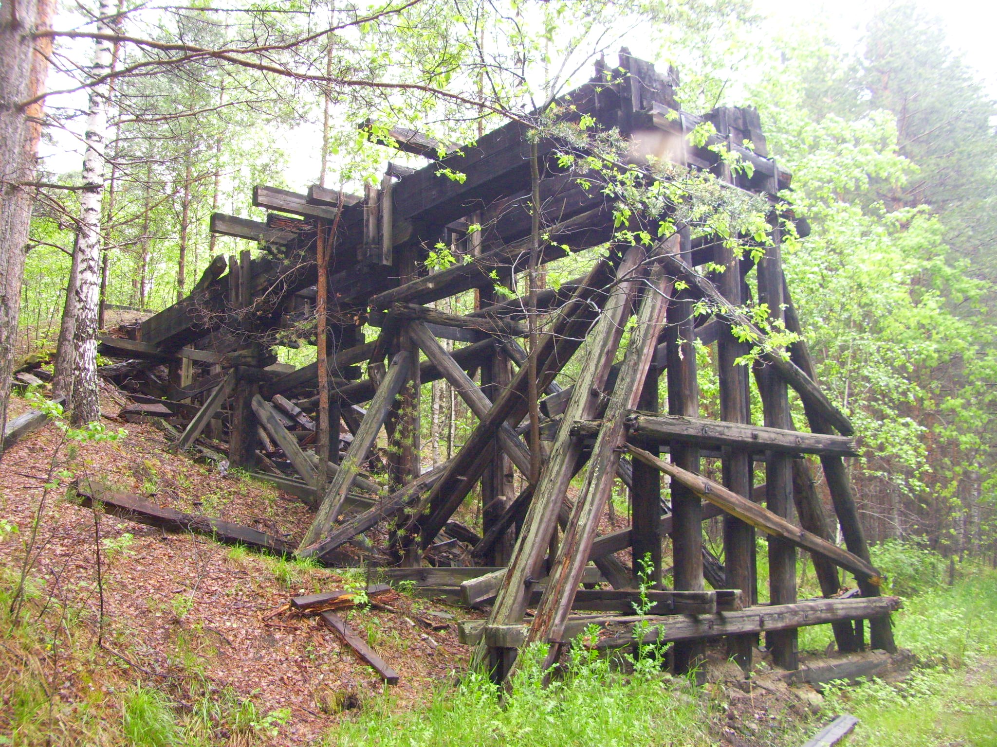 Узкоколейная железная дорога Свердловского предприятия промышленного железнодорожного транспорта — фотографии, сделанные в 2010 году