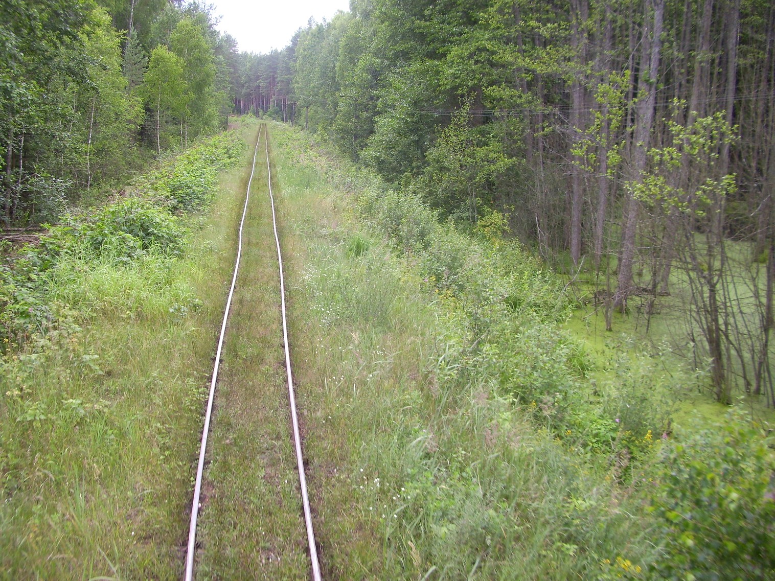 Узкоколейная железная дорога Берёзовского торфопредприятия  —  фотографии, сделанные в 2011 году (часть 9)
