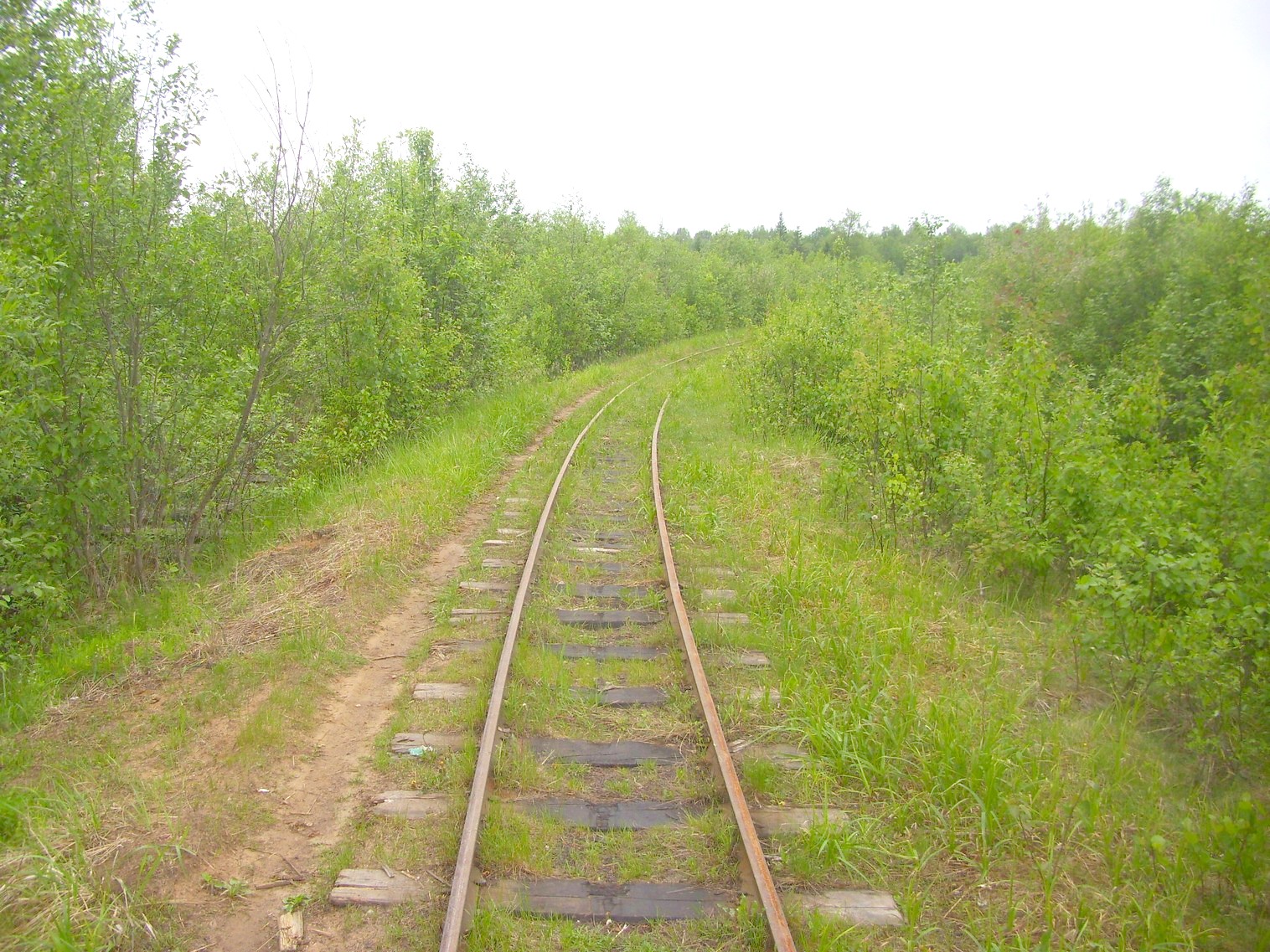 Зебляковская узкоколейная железная дорога
  —  фотографии, сделанные в 2010 году (часть 6)
