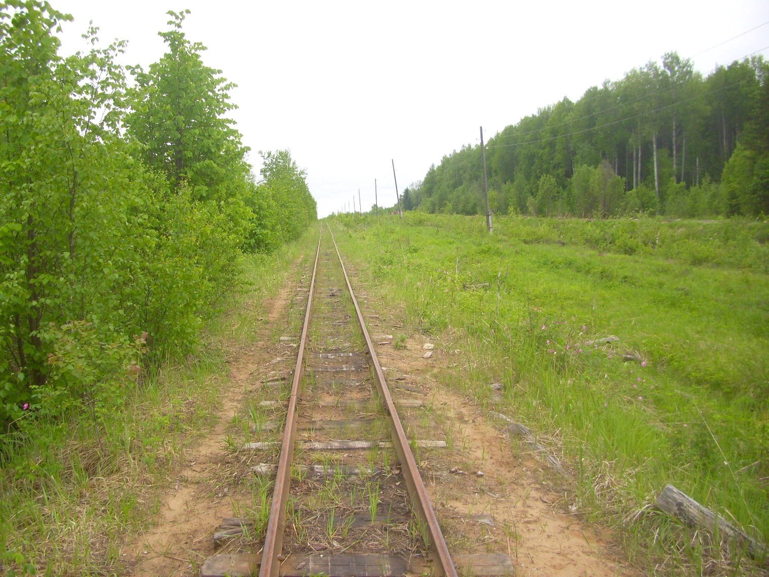Зебляковская узкоколейная железная дорога
  —  фотографии, сделанные в 2010 году (часть 7)