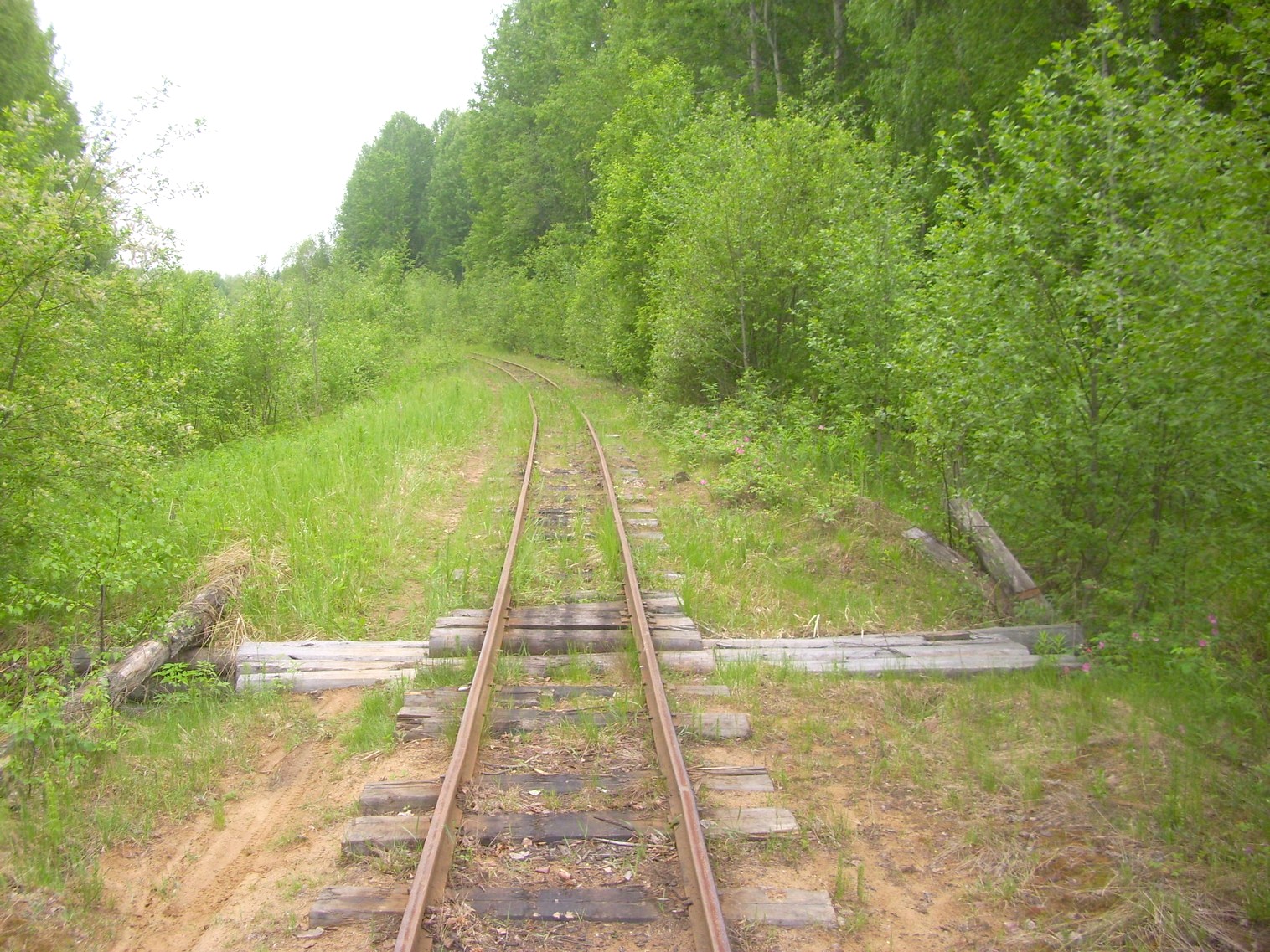 Зебляковская узкоколейная железная дорога
  —  фотографии, сделанные в 2010 году (часть 8)